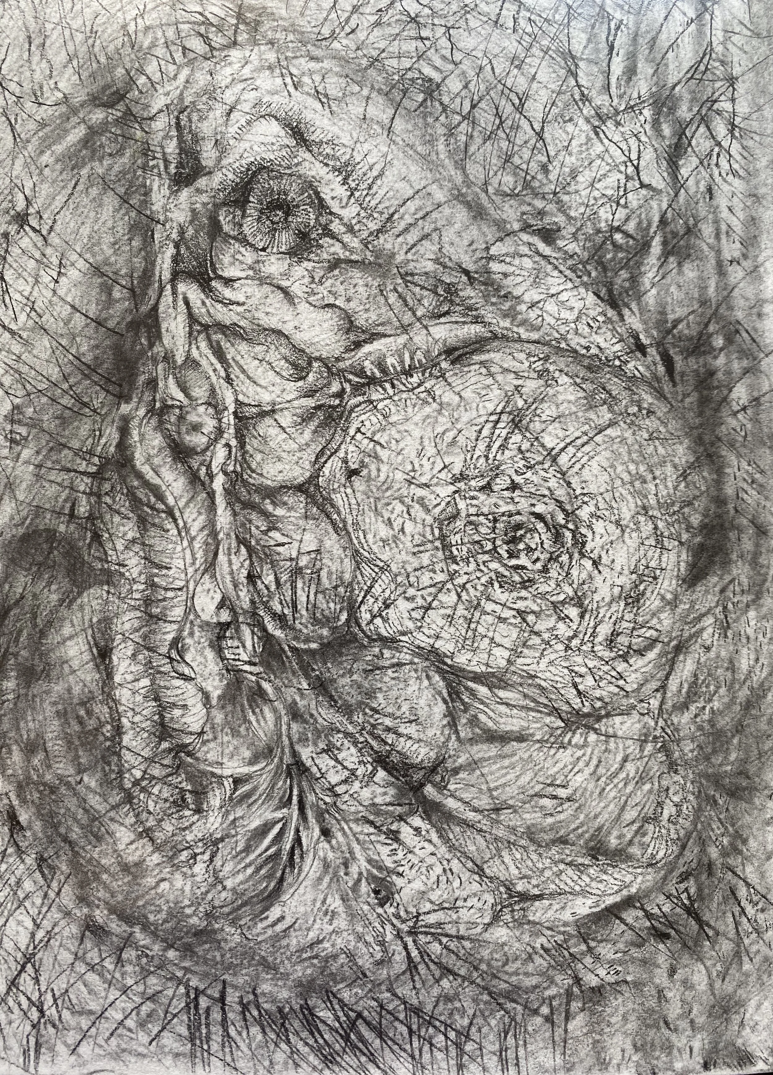 Catabolism (異化狀態)