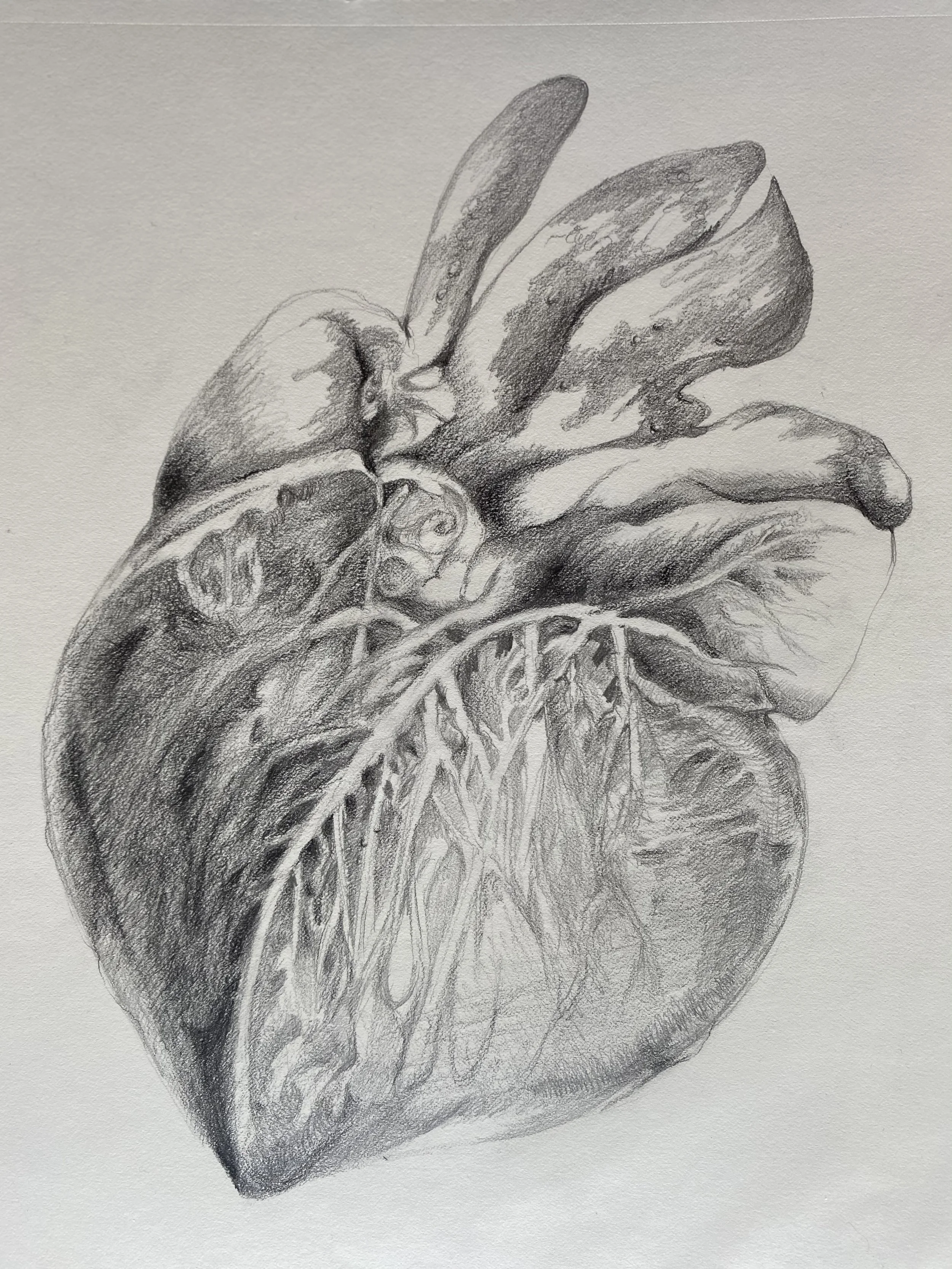 Scheming Heart (心機圖)