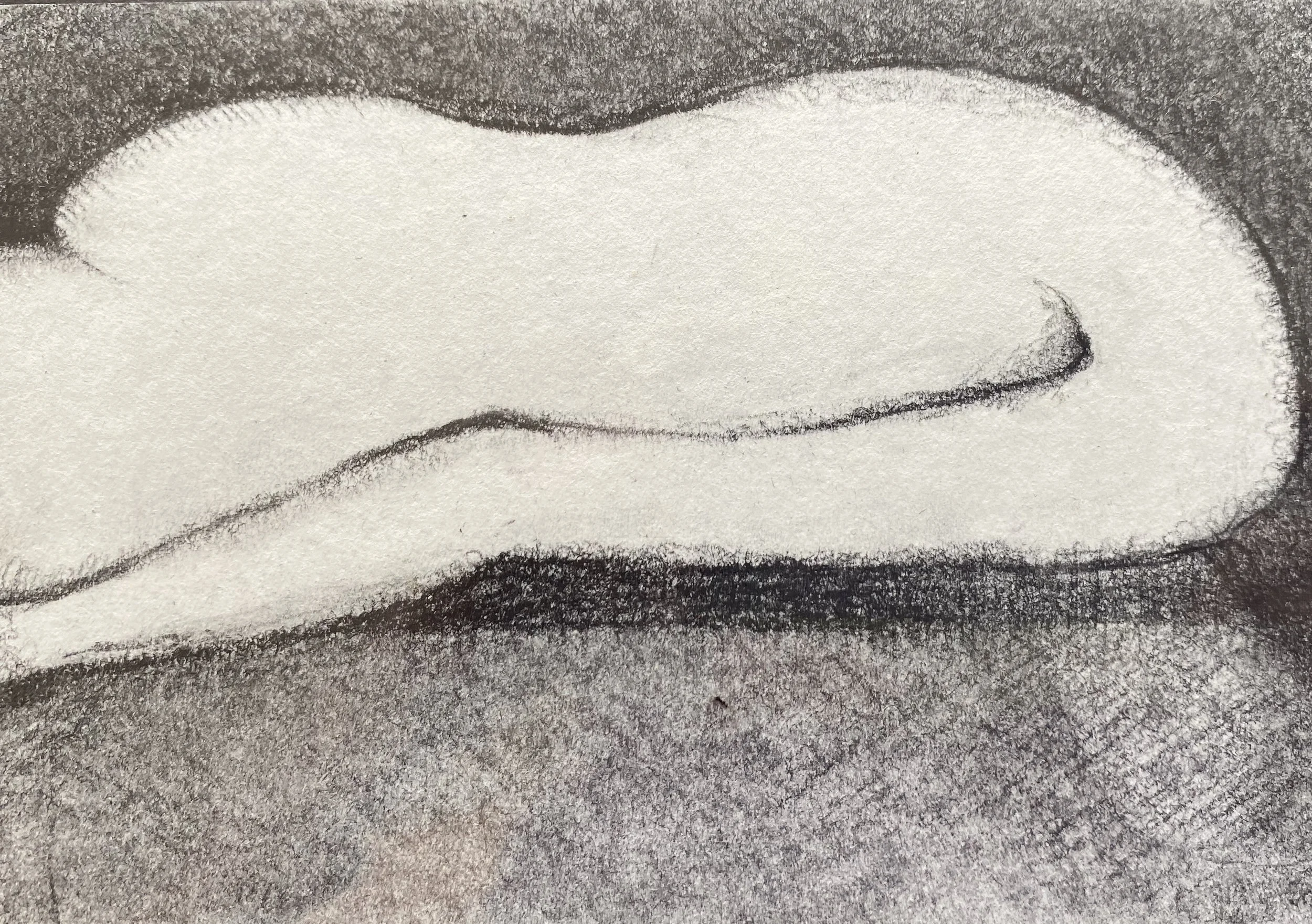 Charcoal body 4