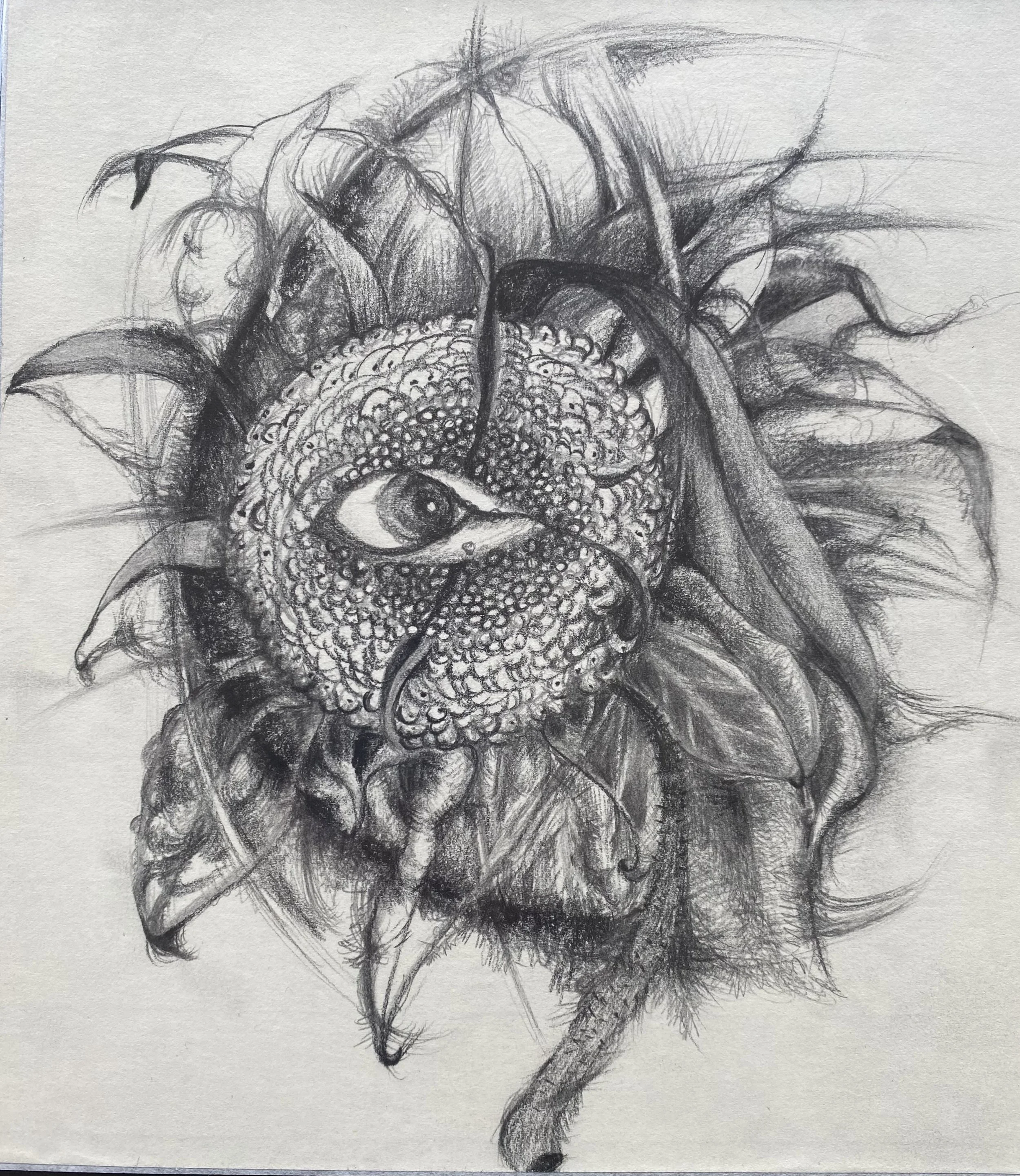 Mode of compound left eye (左複眼生成模式)