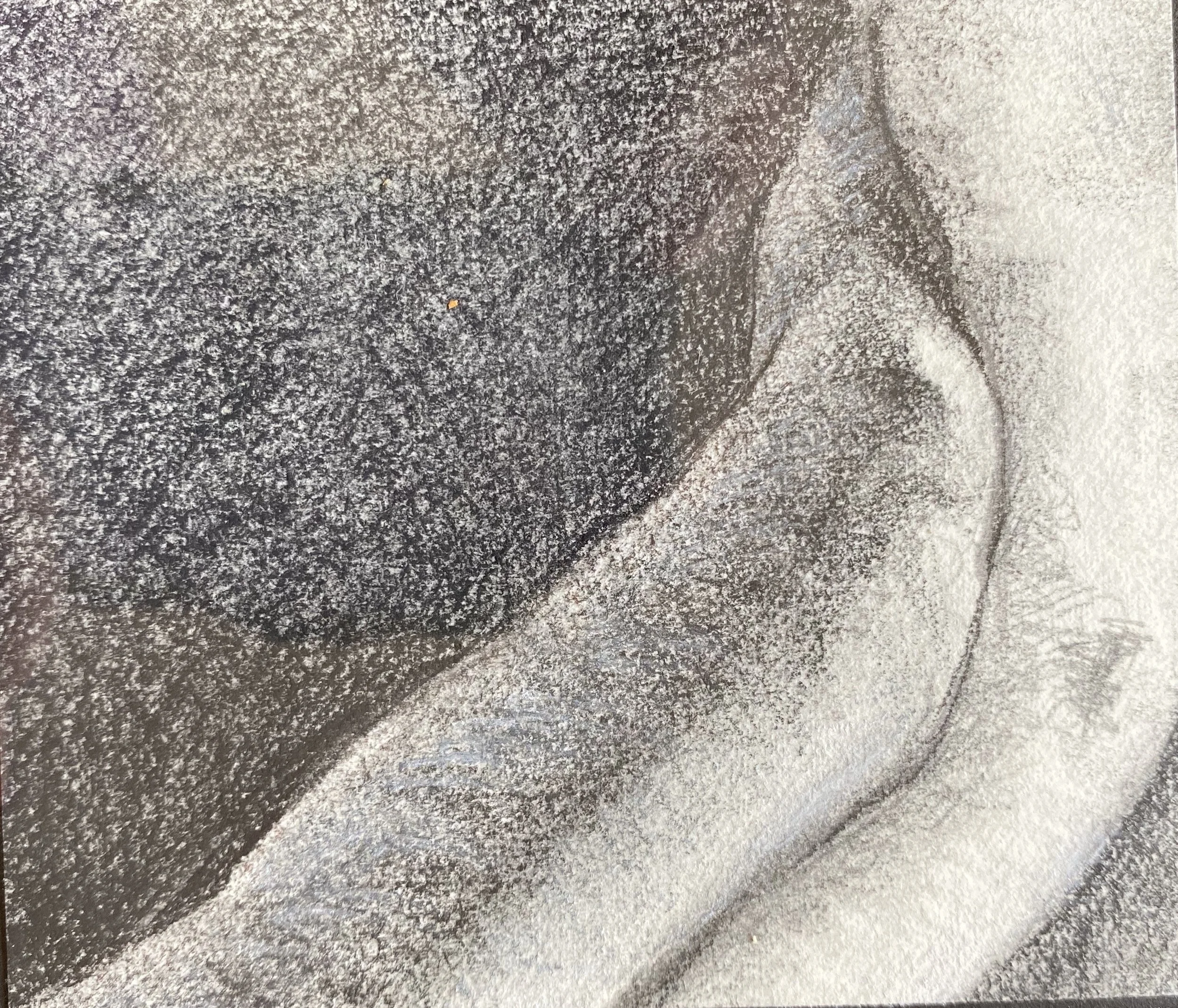 Charcoal body 7