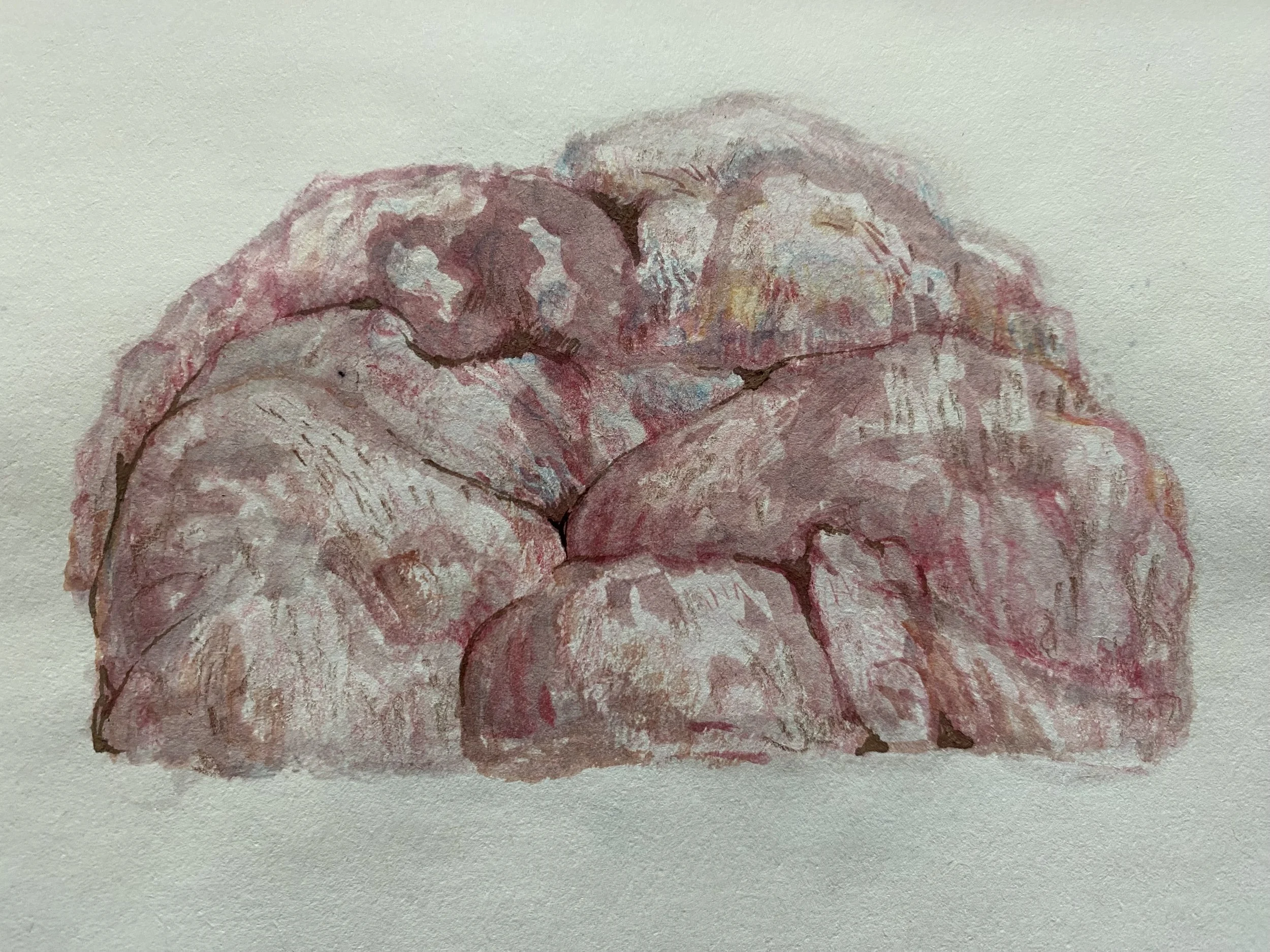 70 ercent lean meat  for dumplings