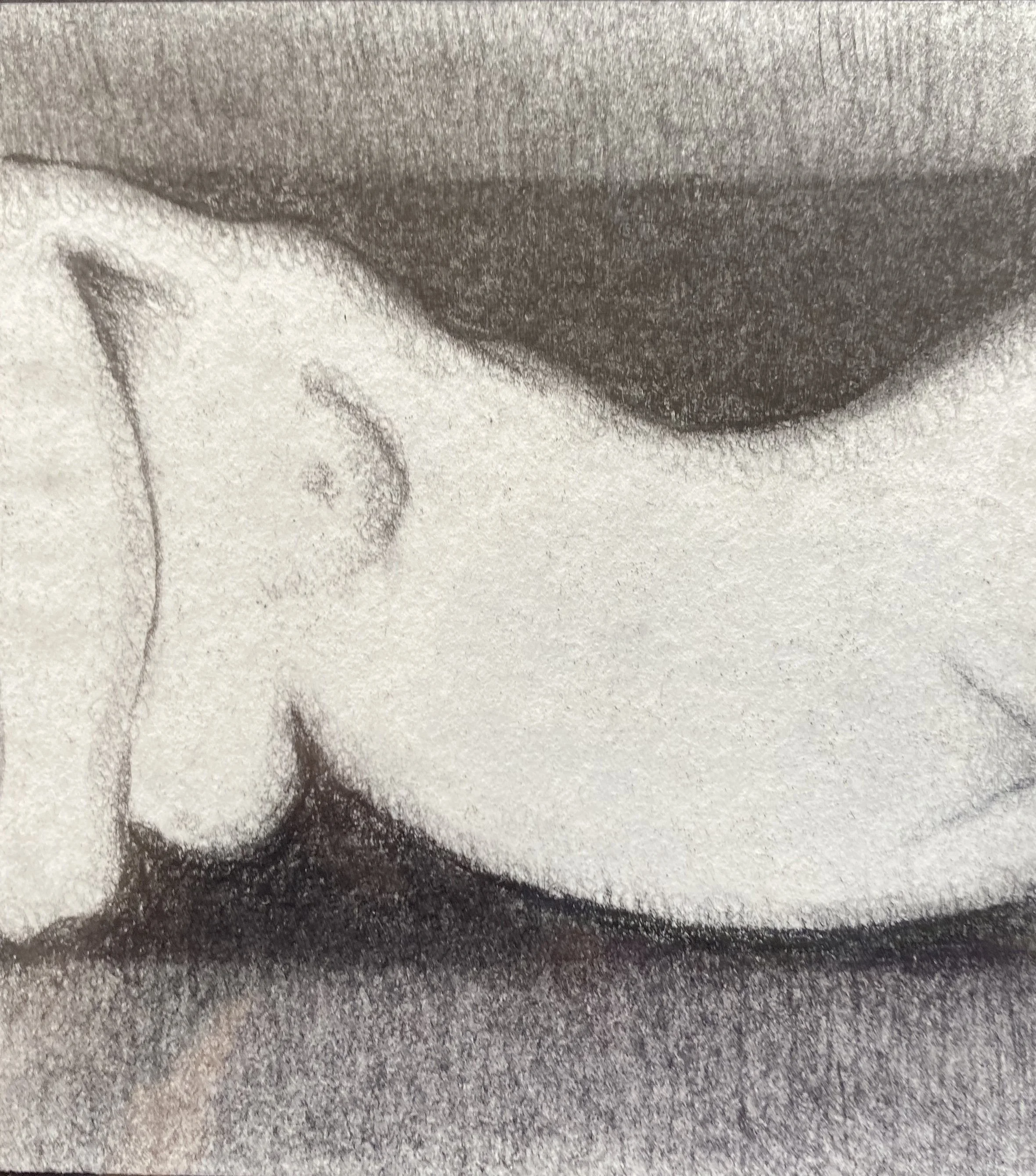 Charcoal body 5
