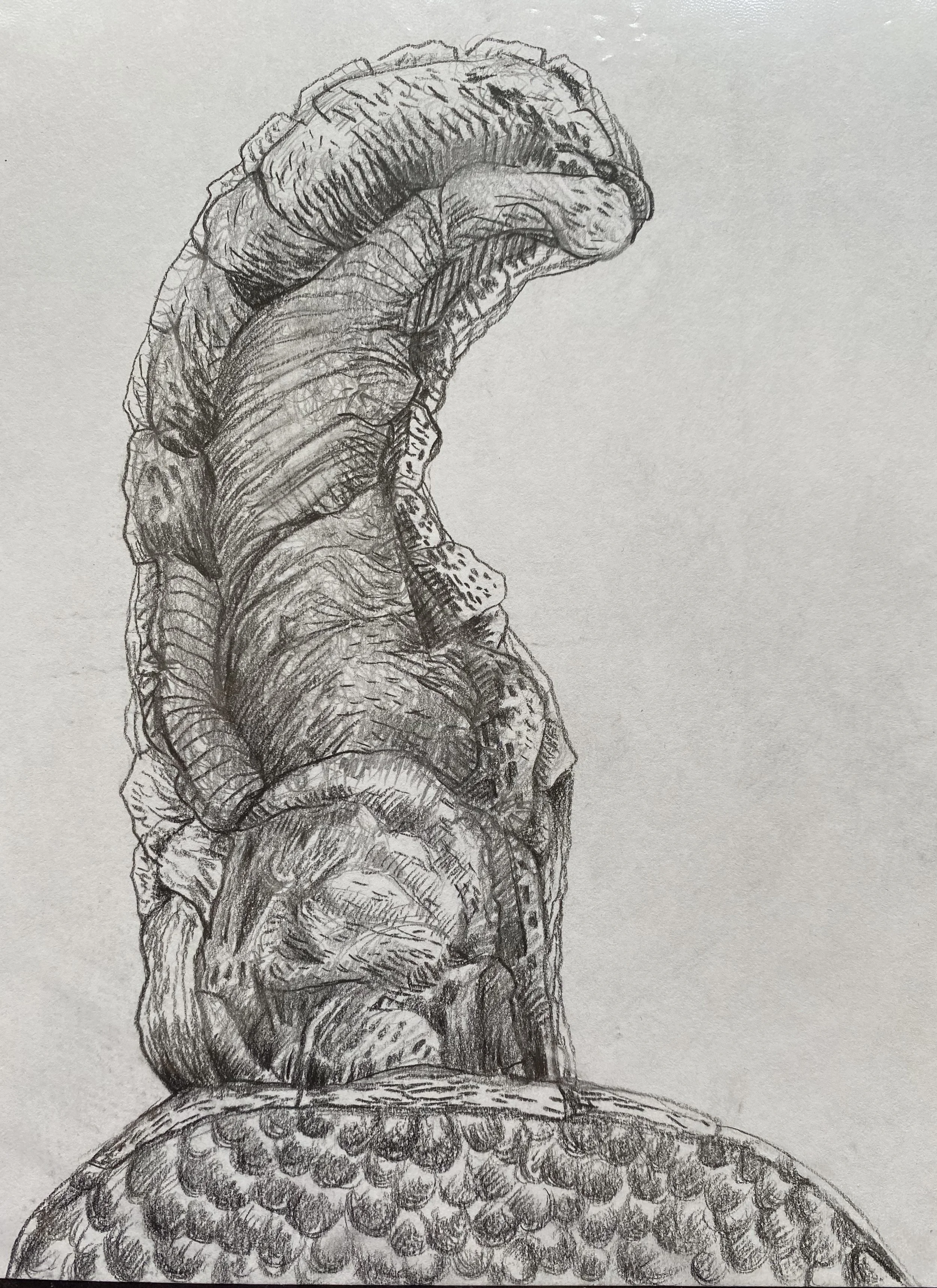 The Rise of Sandworm (沙蟲崛起)