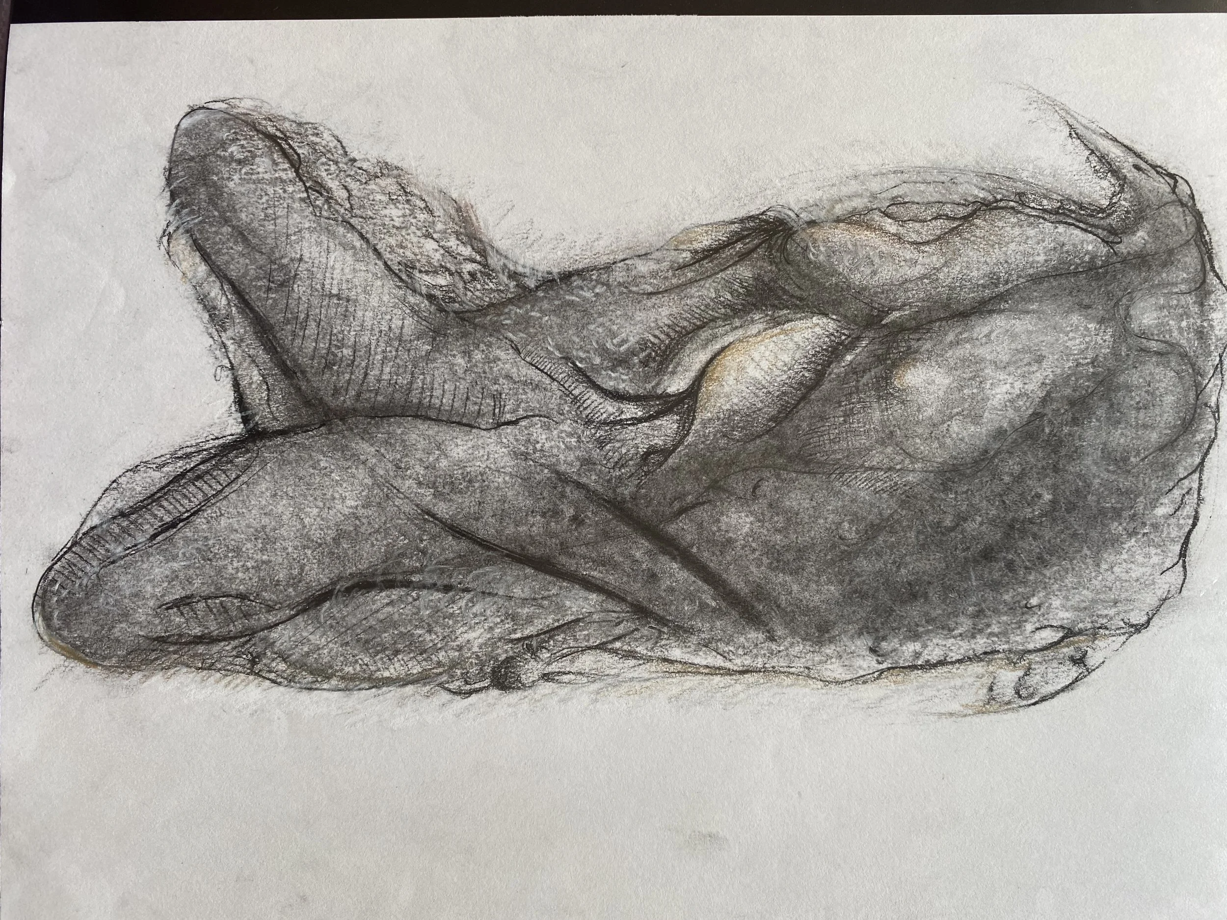 Lying Flat Birdman (平躺的鳥人)