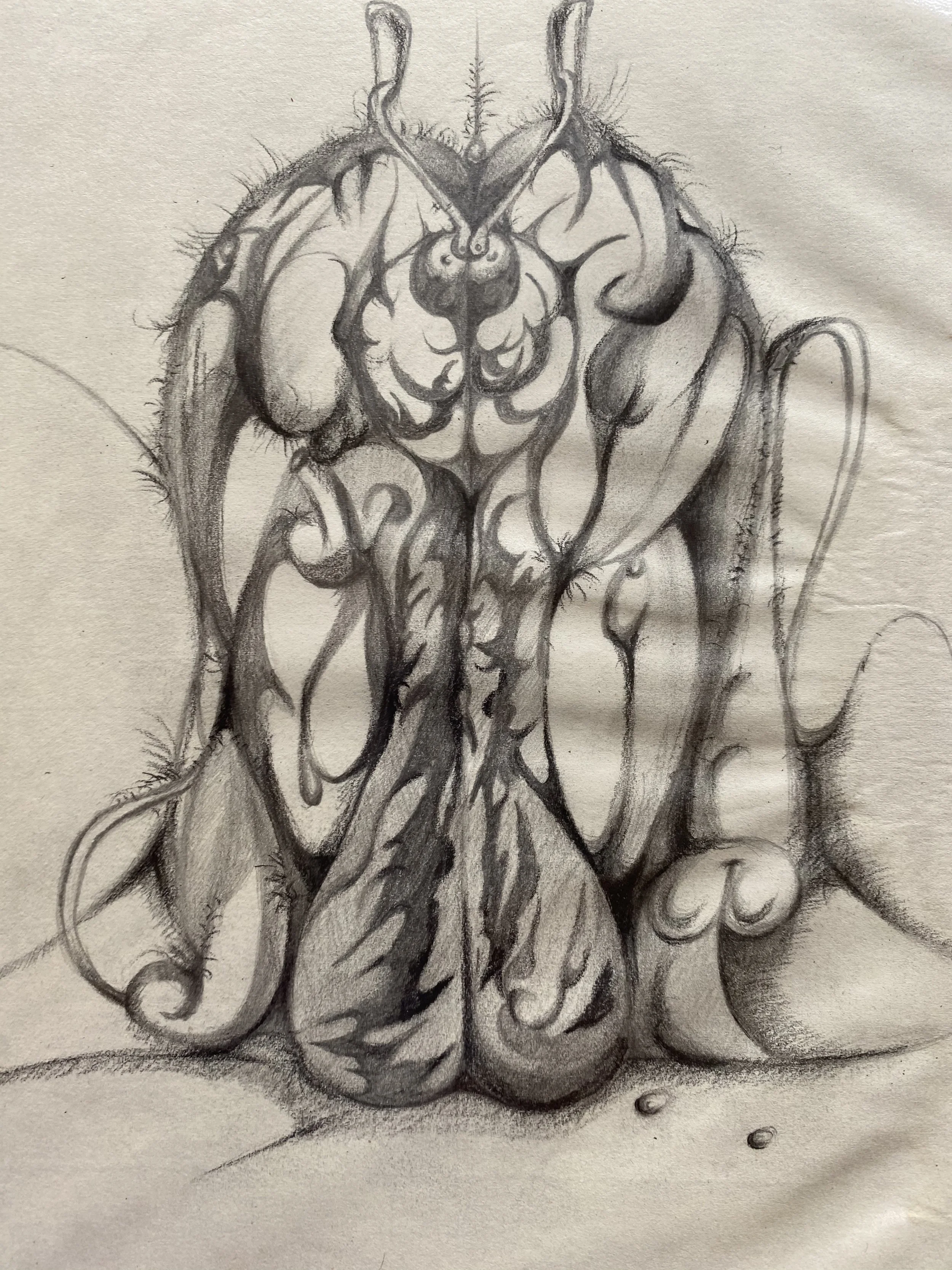 Asymmetric Bionics (不對稱仿生)