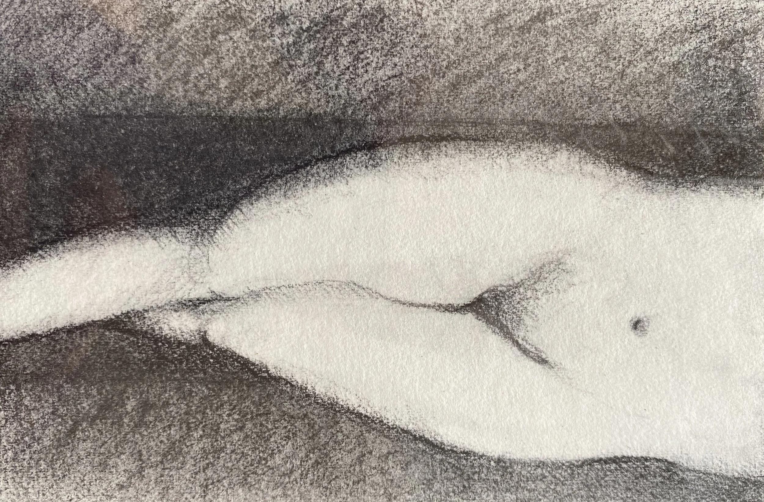 Charcoal body 8