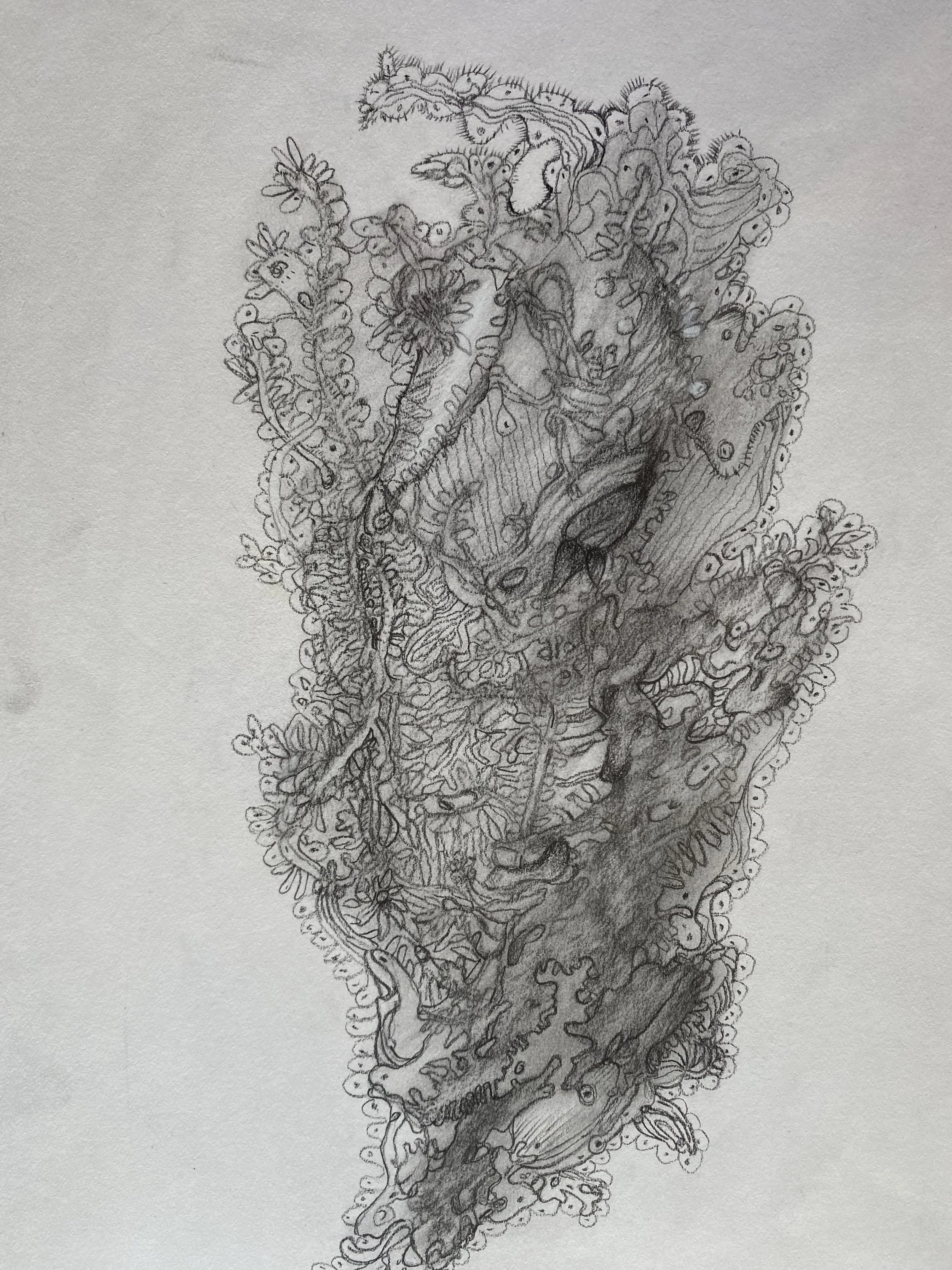 Vegetative State (植化狀態)