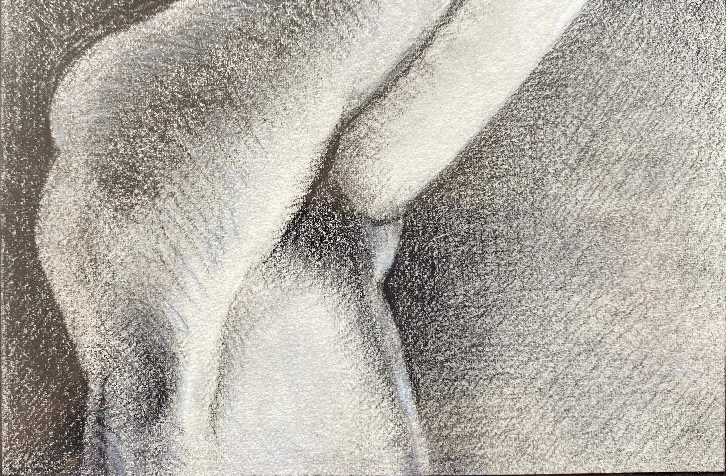 Charcoal body 6