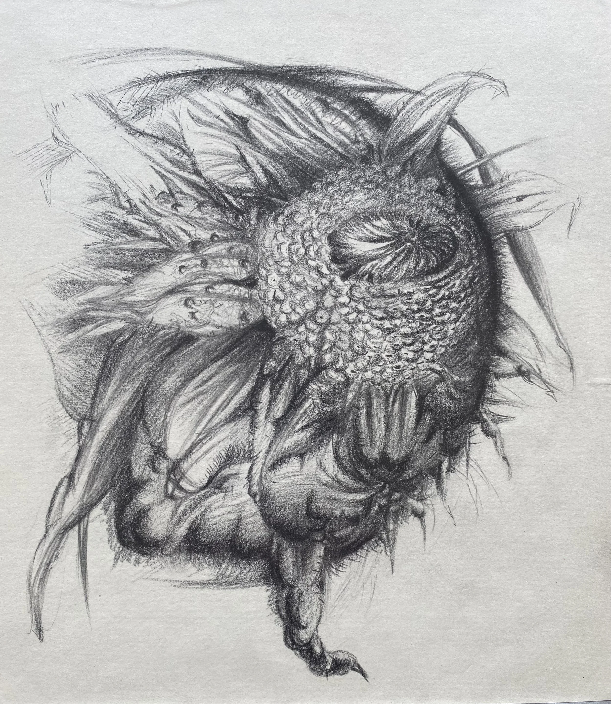 Mode of compound right eye (右複眼生成模式)