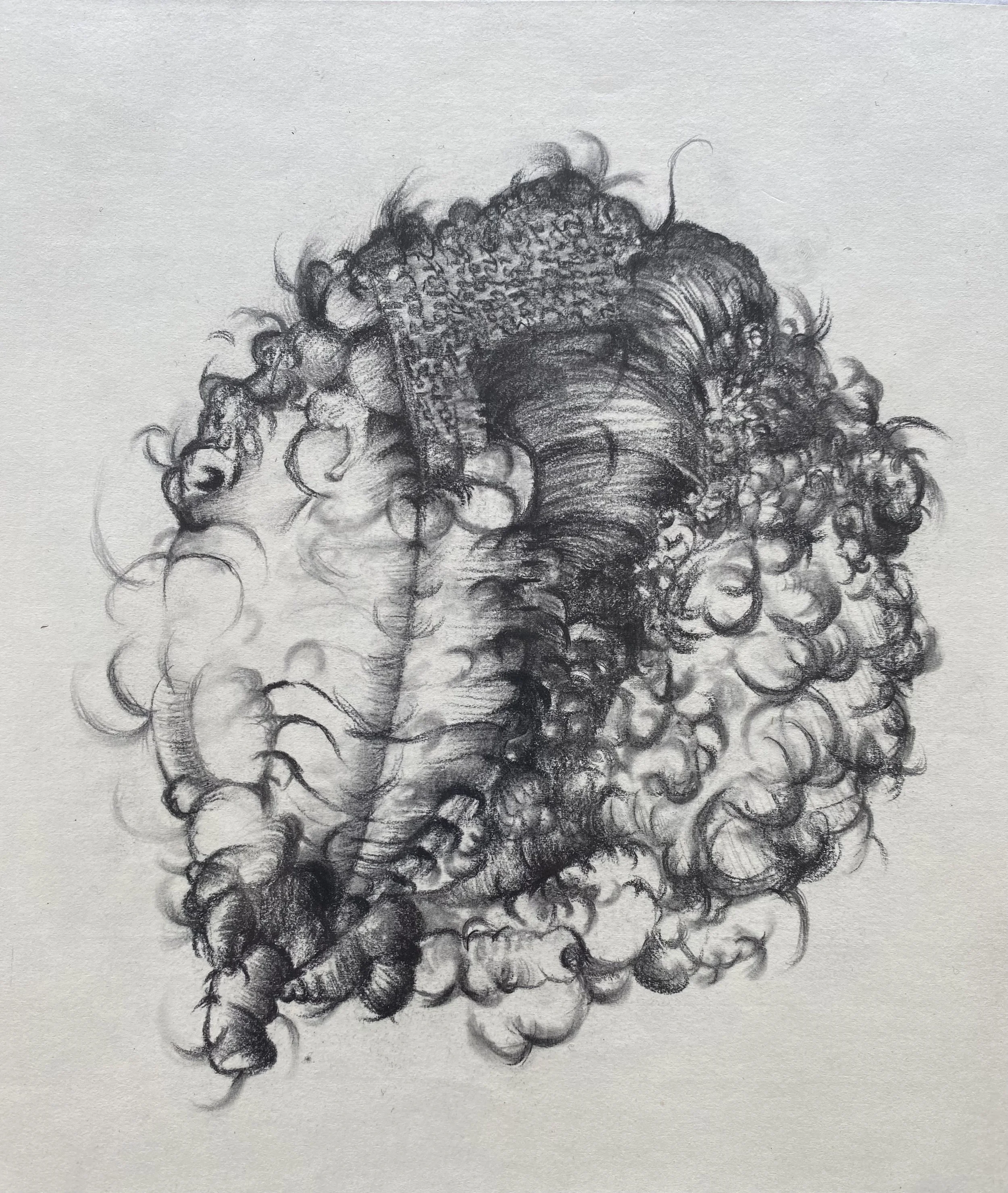 Visions of creationism (不同版本的創造論)