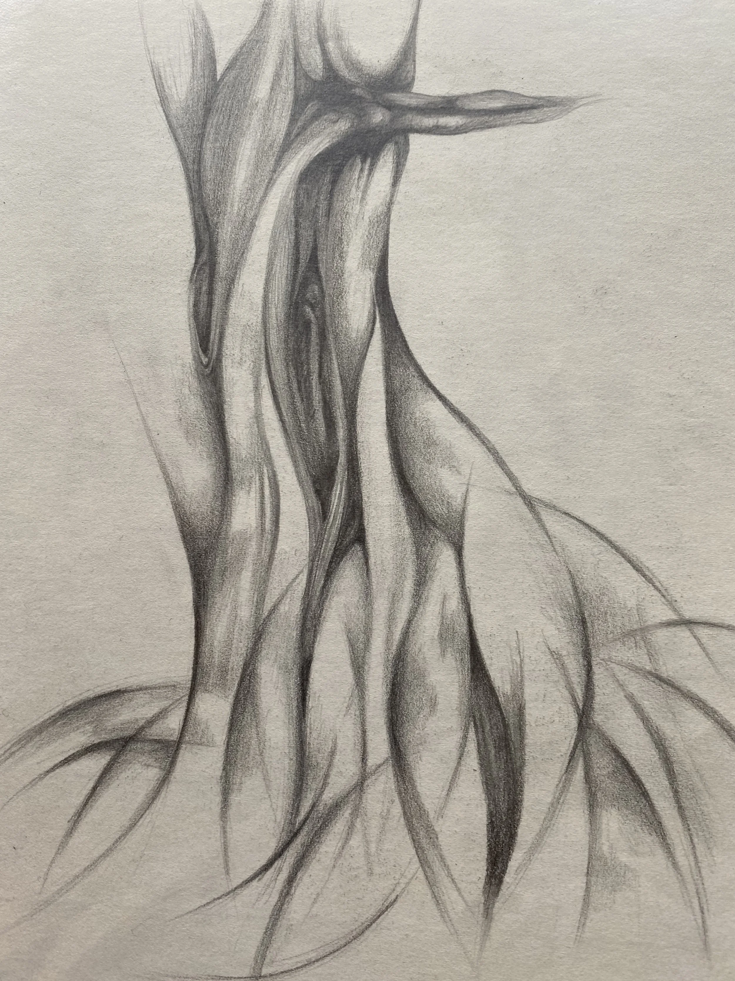 Event horizon (黑洞表面)