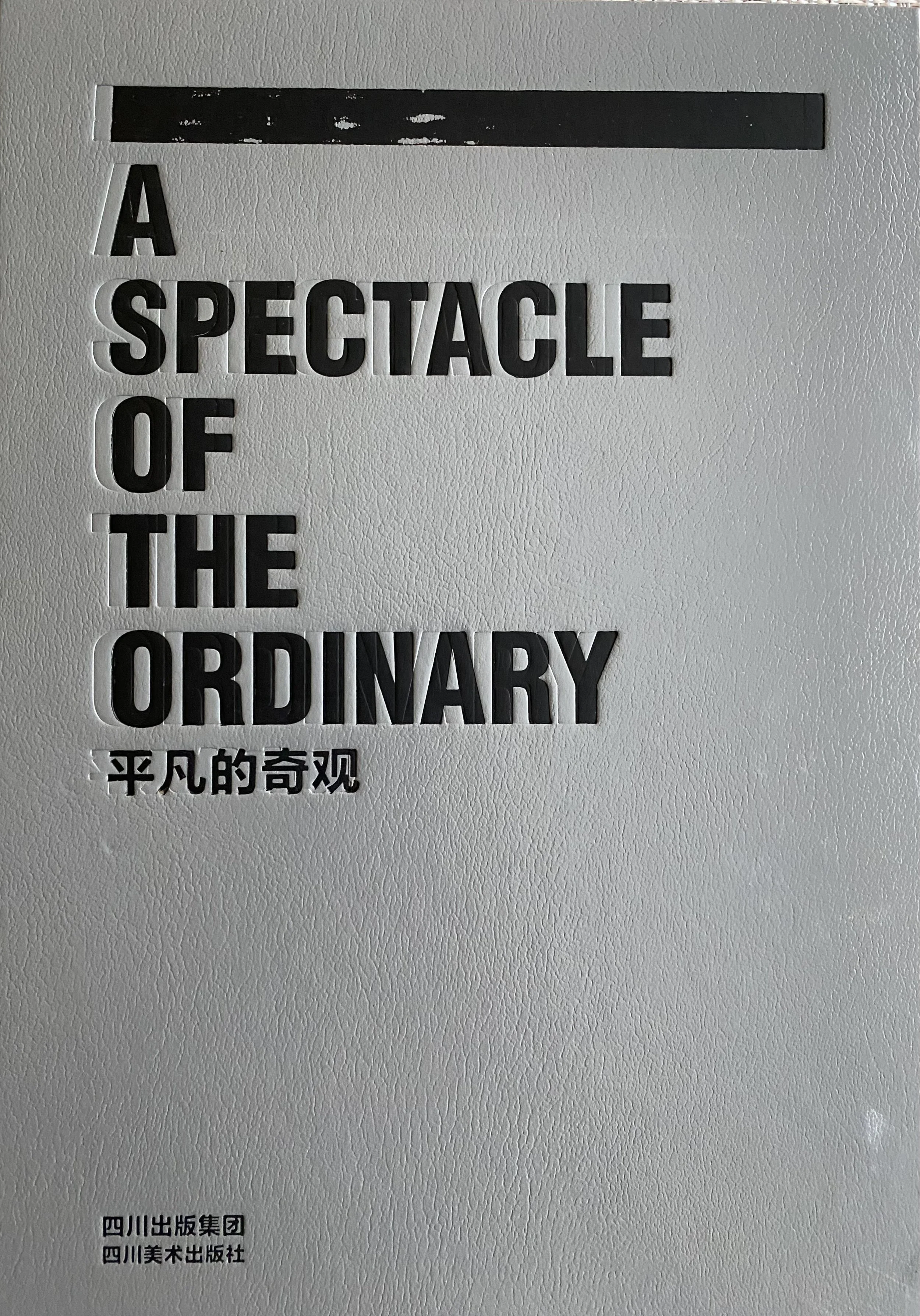 A Spectacle of the Ordinary -平凡的奇觀Special Section in the Reshaping History: Chinart from 2000 to 2009