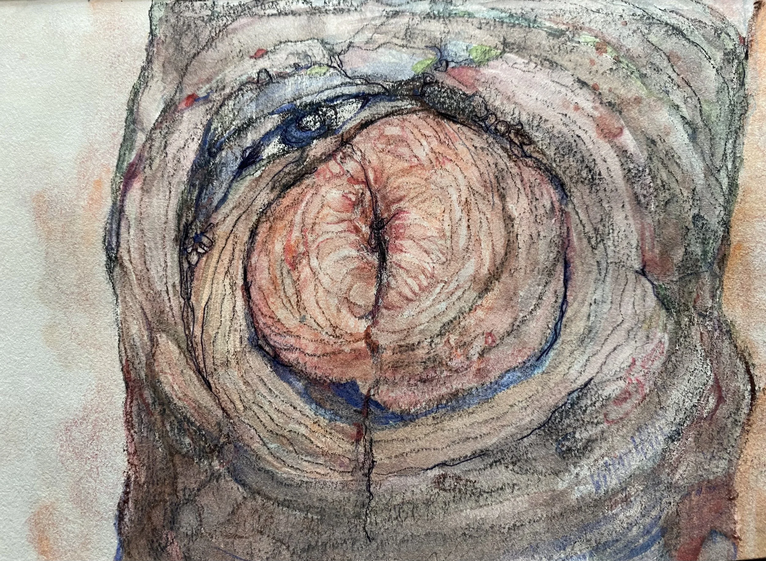 a bunch of meat for sausage