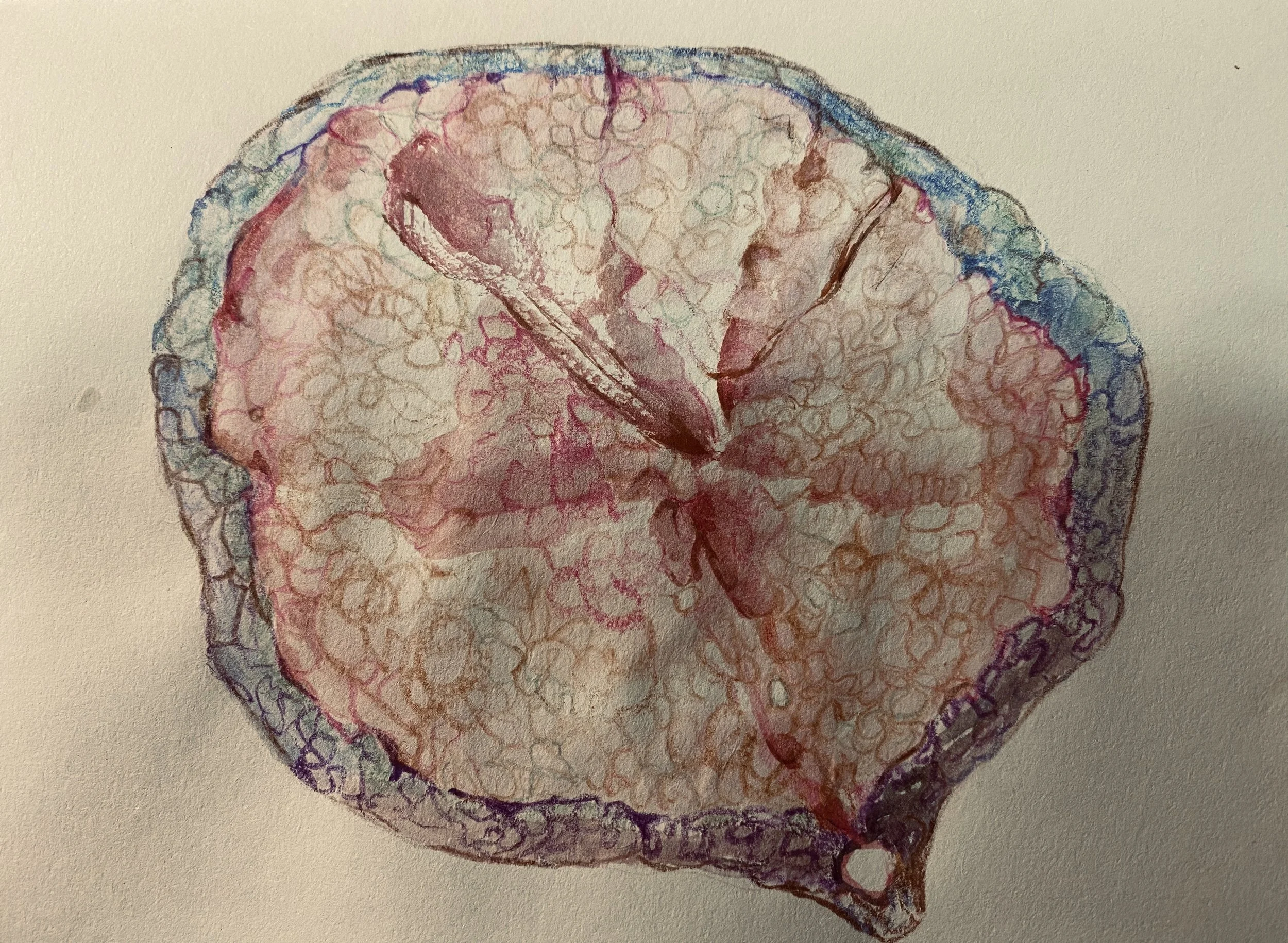 a slide of meat for Hot Pot