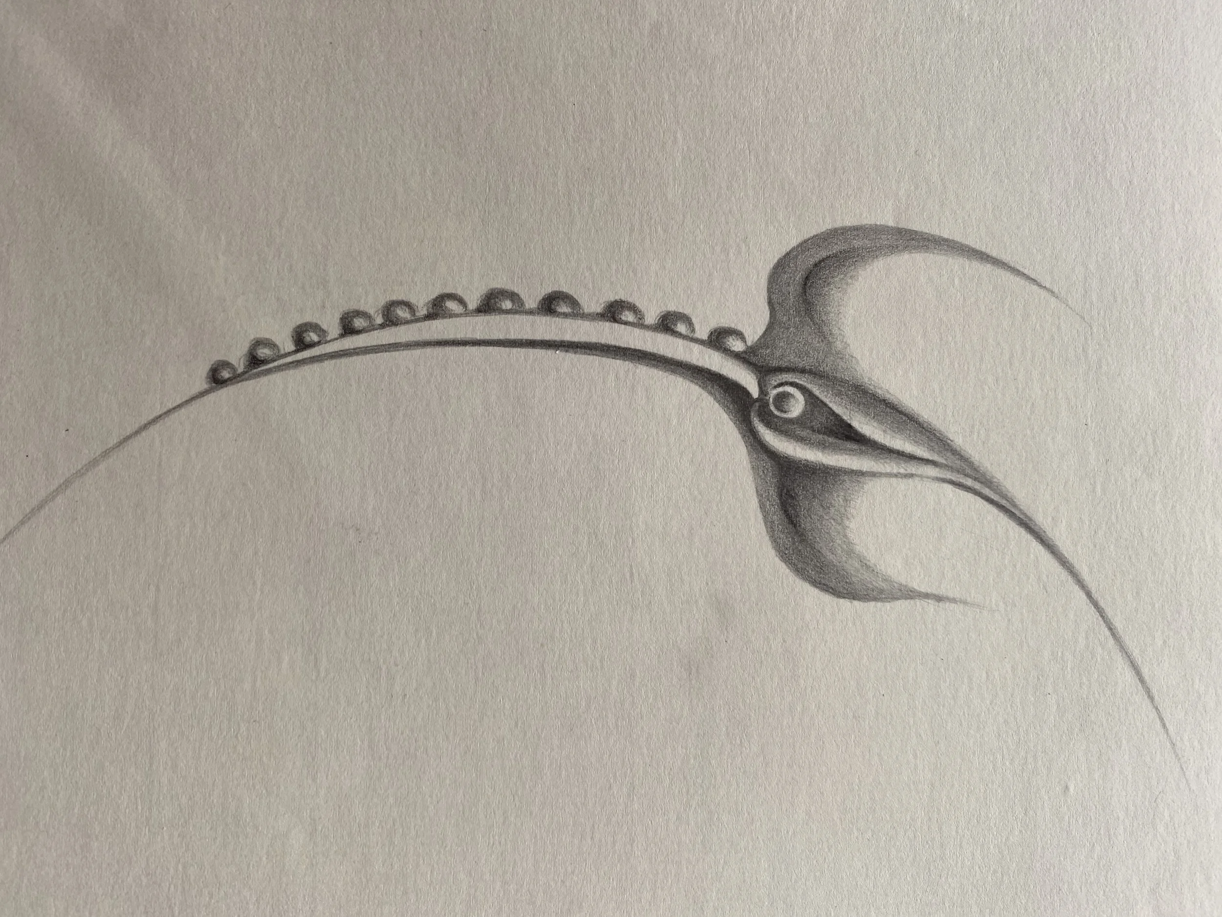 thorn Bird 2 (刺鳥)