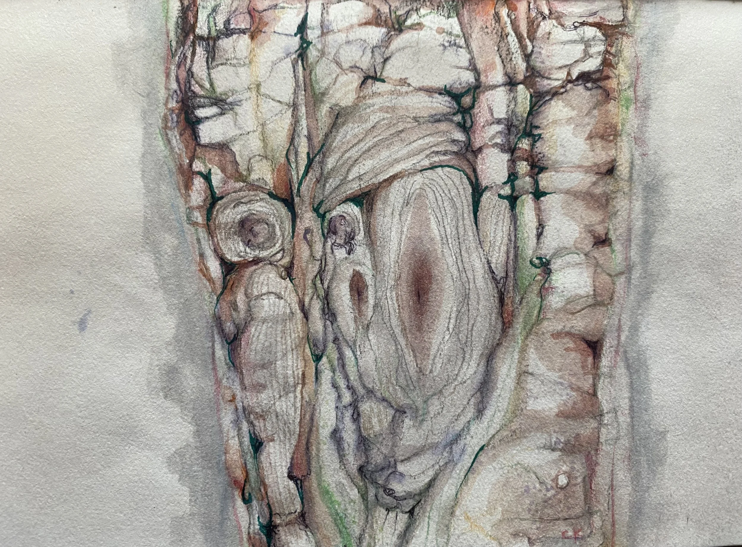 Tendon part for Vietnamese Pho