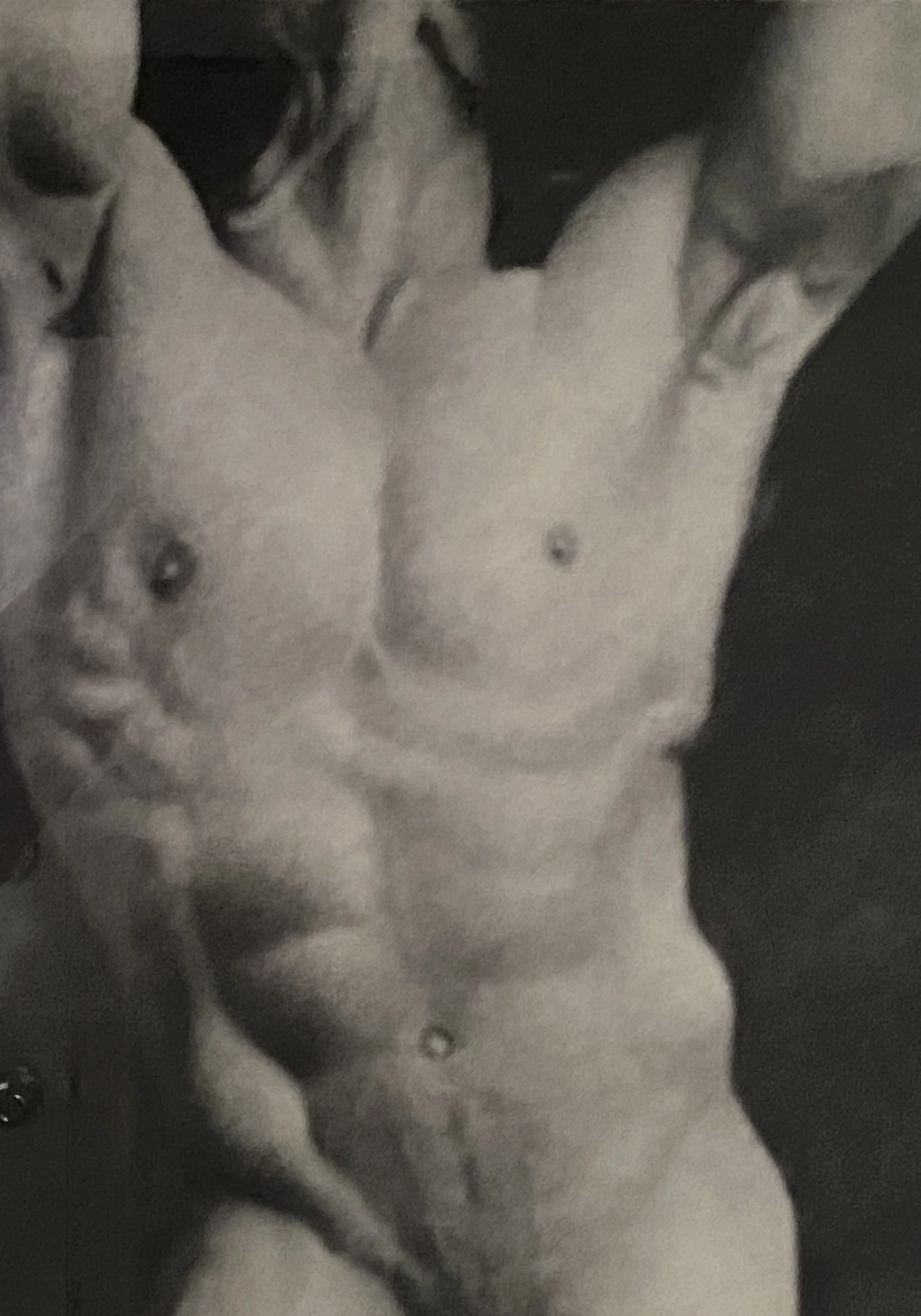 Materialized Body (材料身體 )