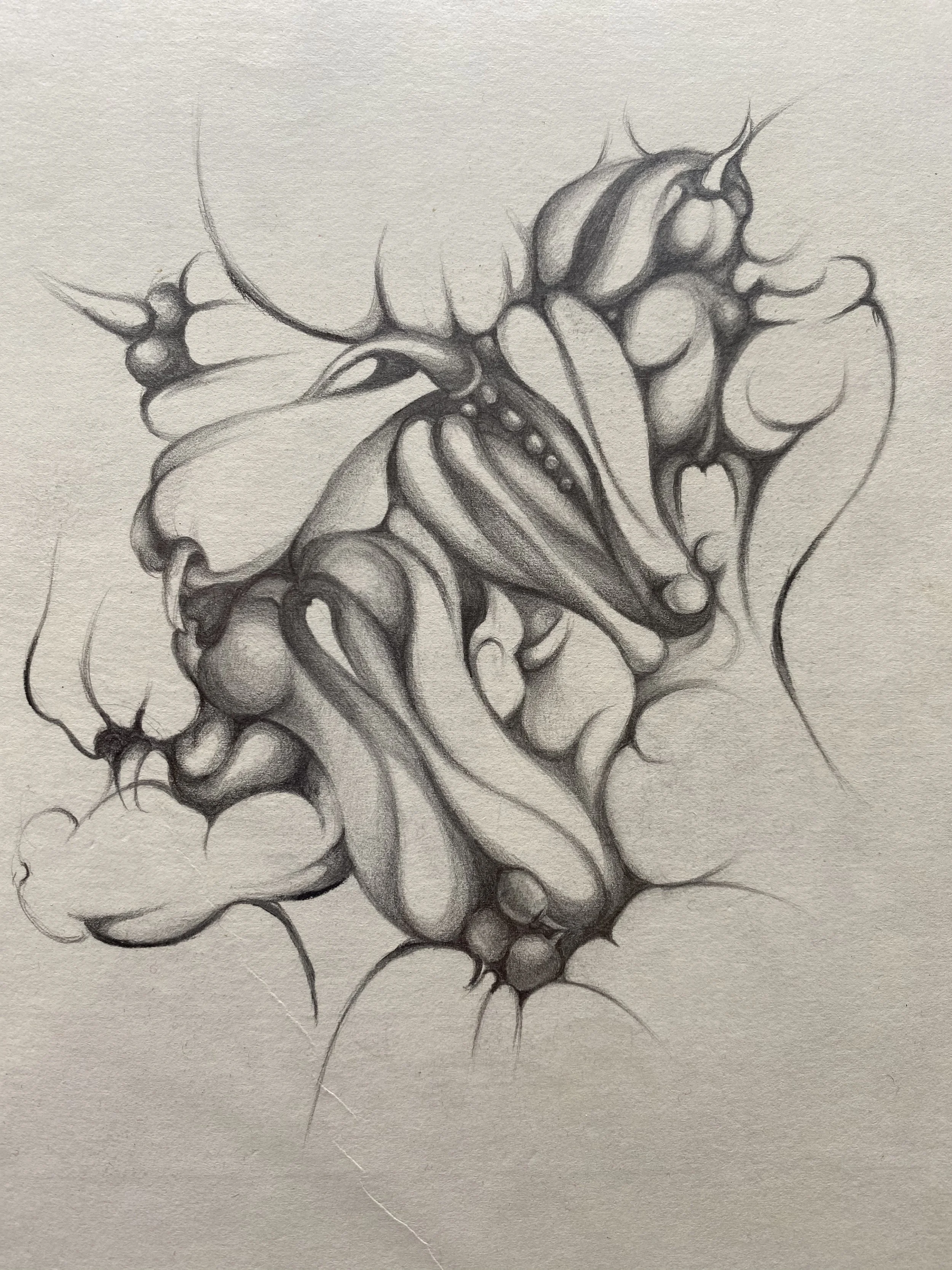 Vegetative  Brain (植腦)