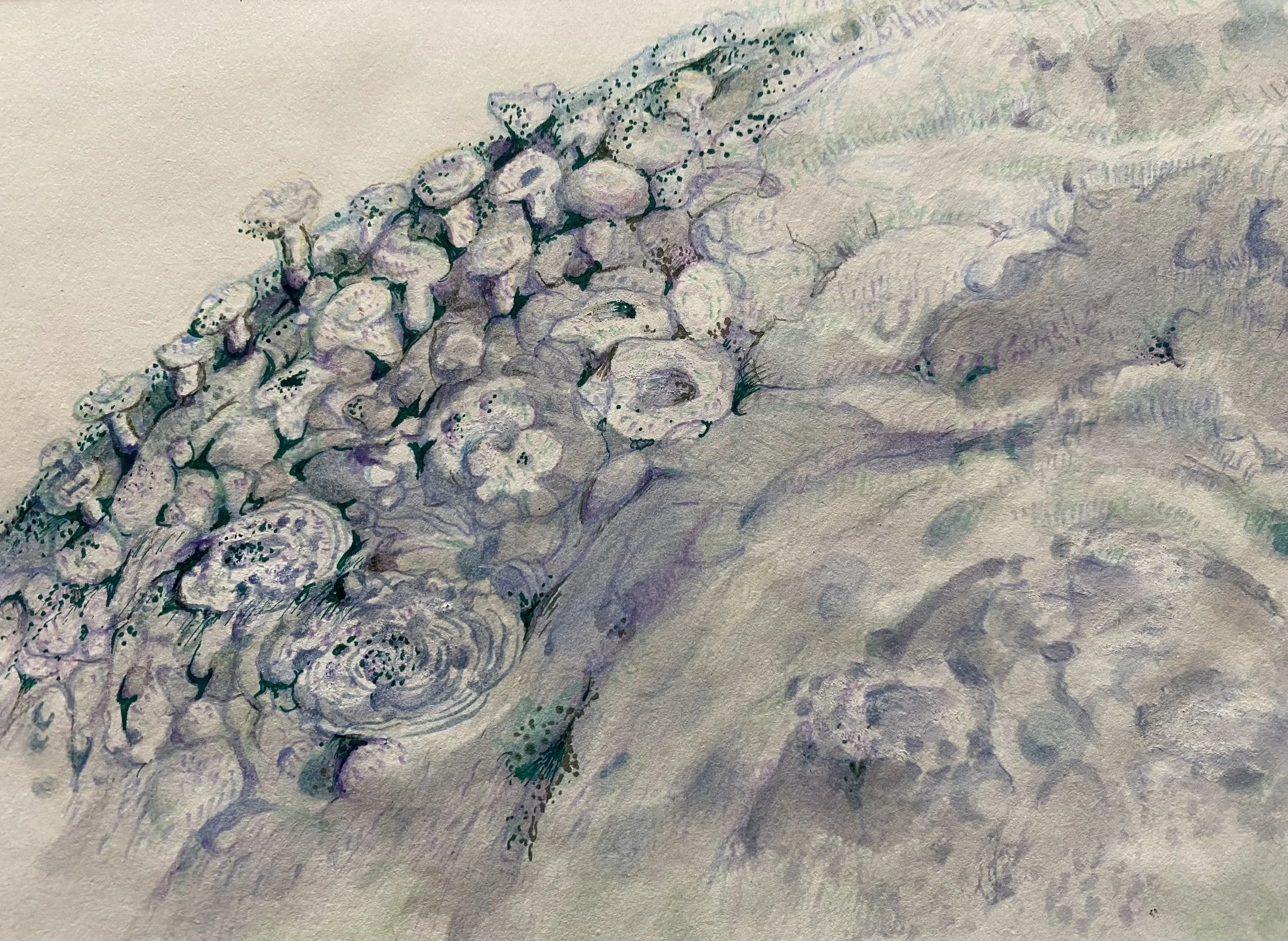 Portrait of Atypical Cells (異位細胞群像)