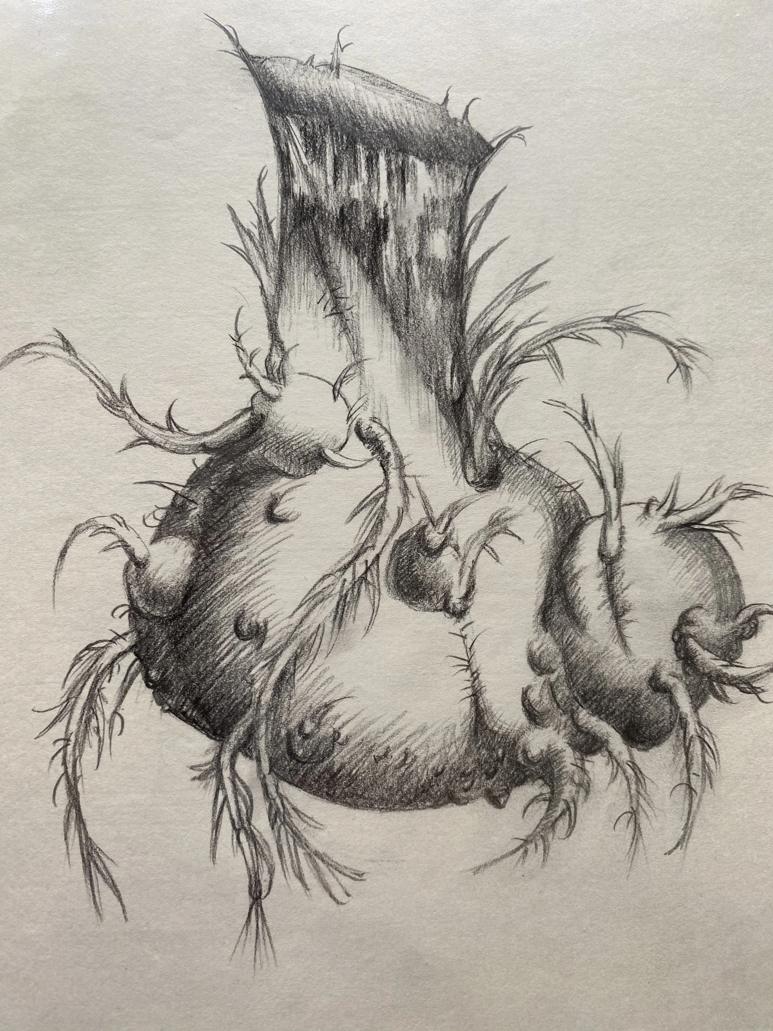 Rhizome Theory (塊莖理論).