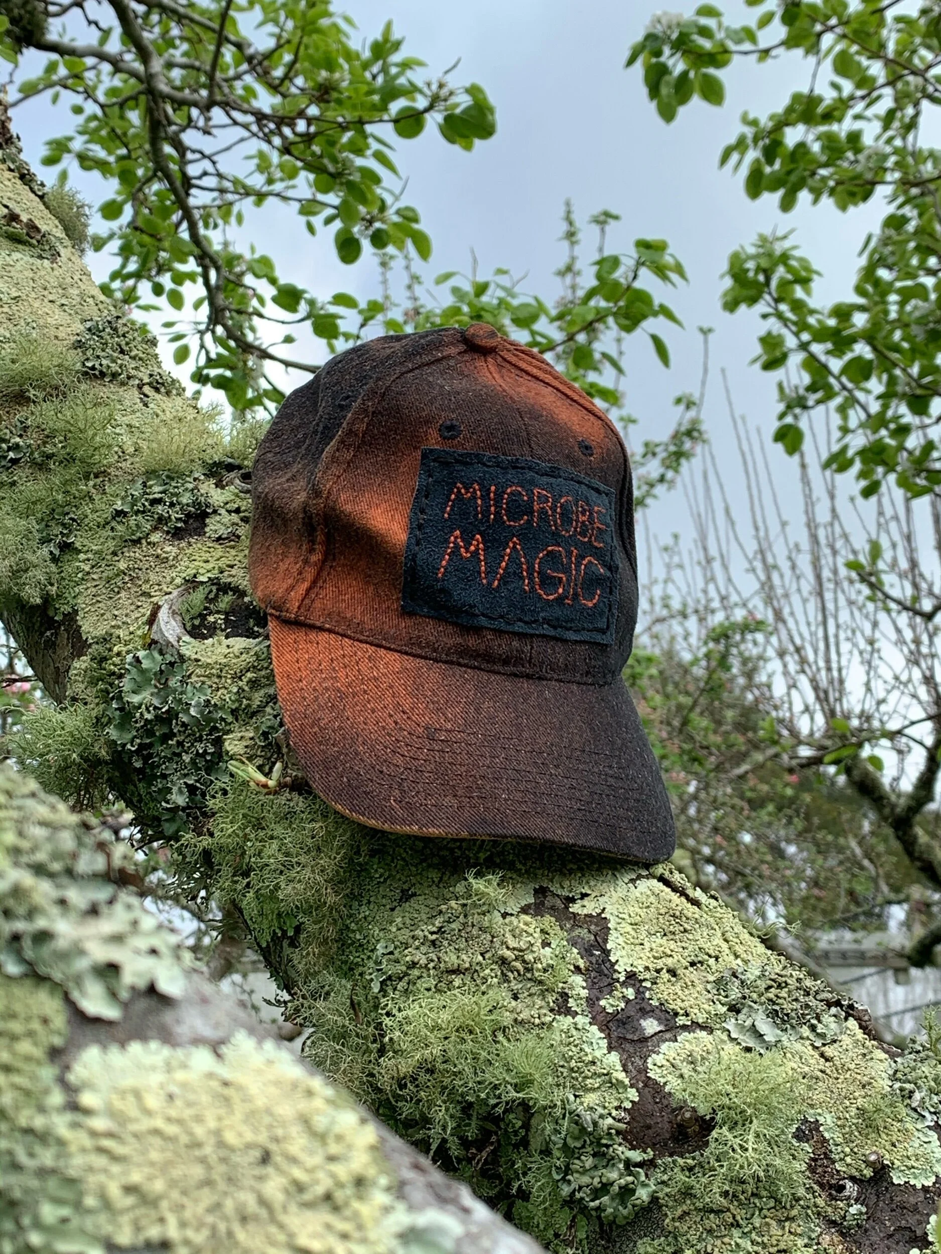 D85E2322-ED0B-4D7E-B001-DF690FDD6D11