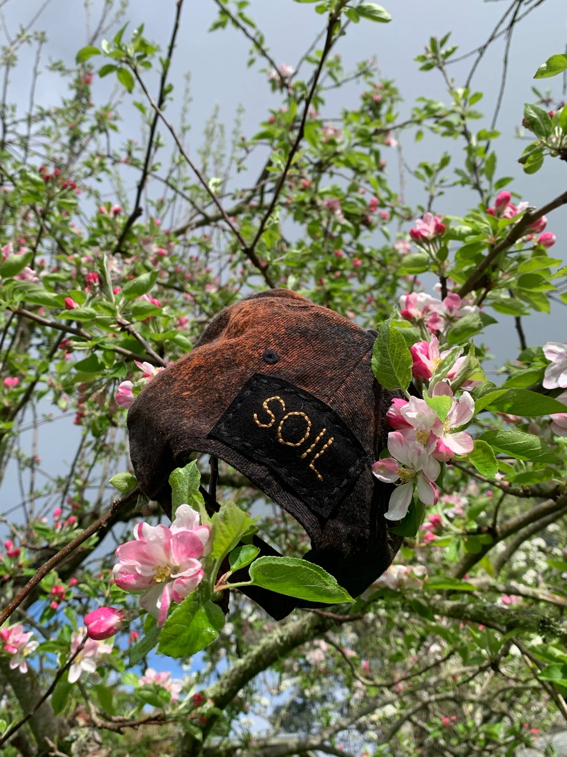 2688F657-98D7-4303-B19E-D596AFE5DEFB