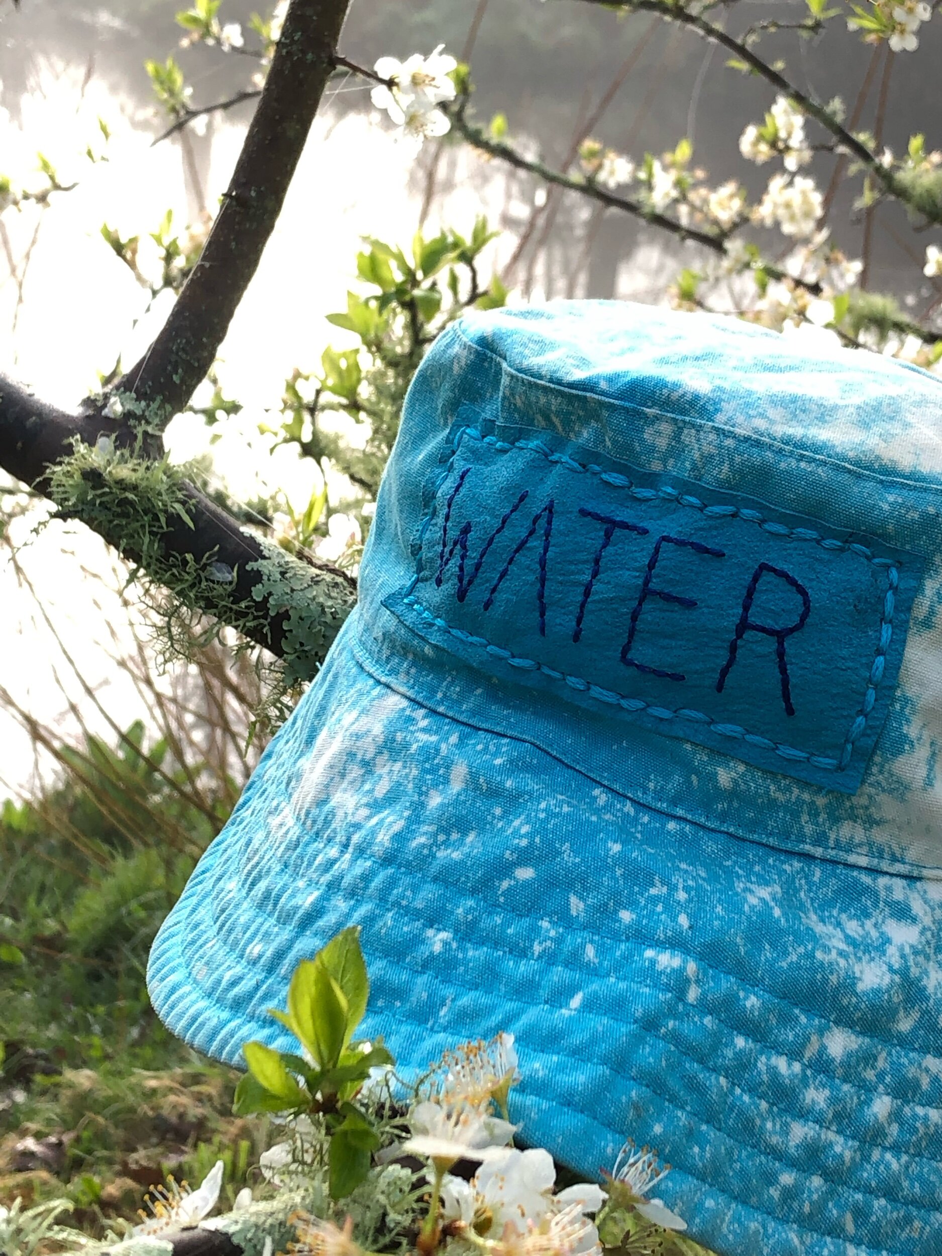 86F8C183-0871-4B96-87E1-6E4DA6CE9C69