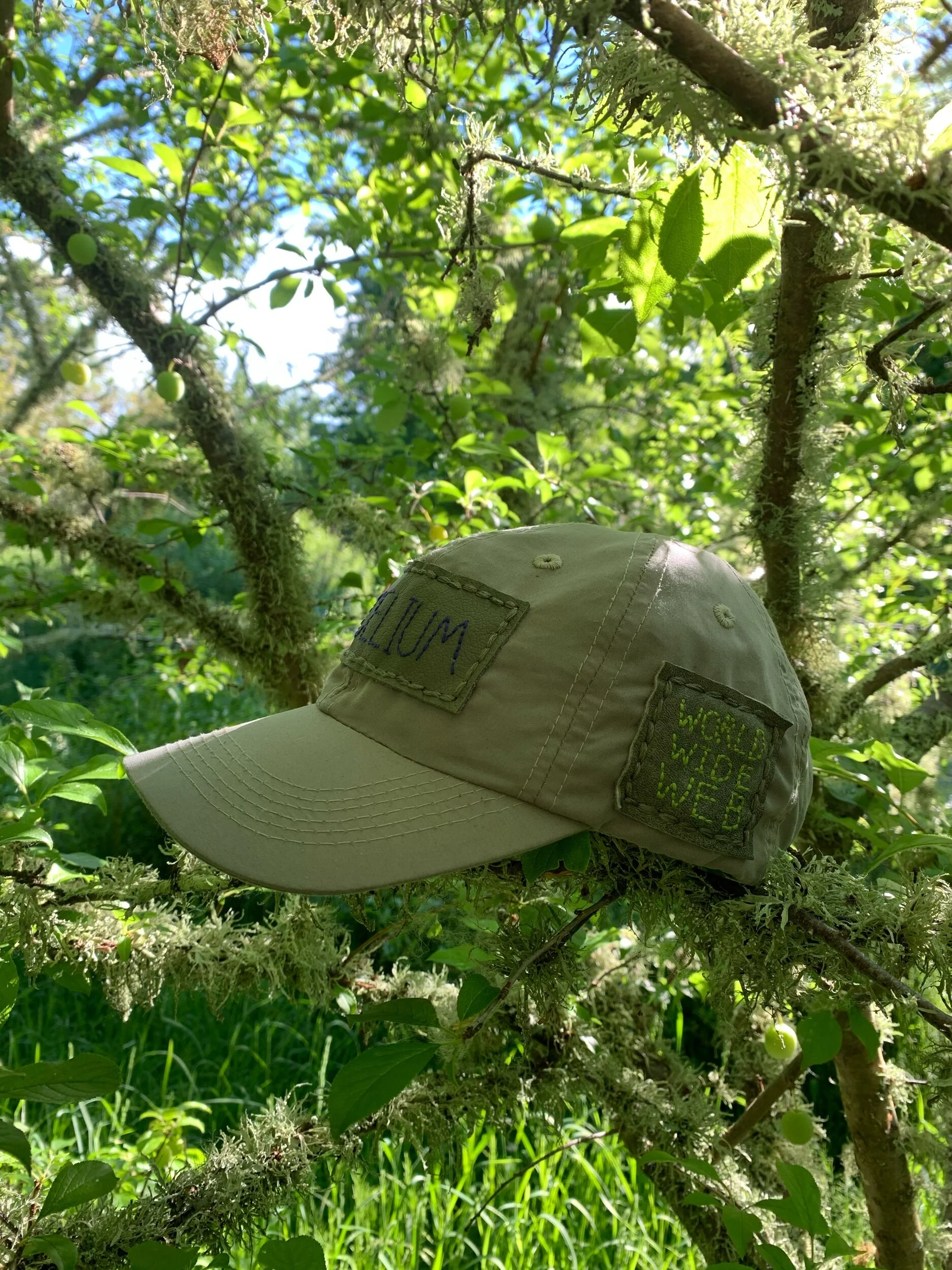 863E7416-F144-4DE8-BBC4-66E9B67260D4