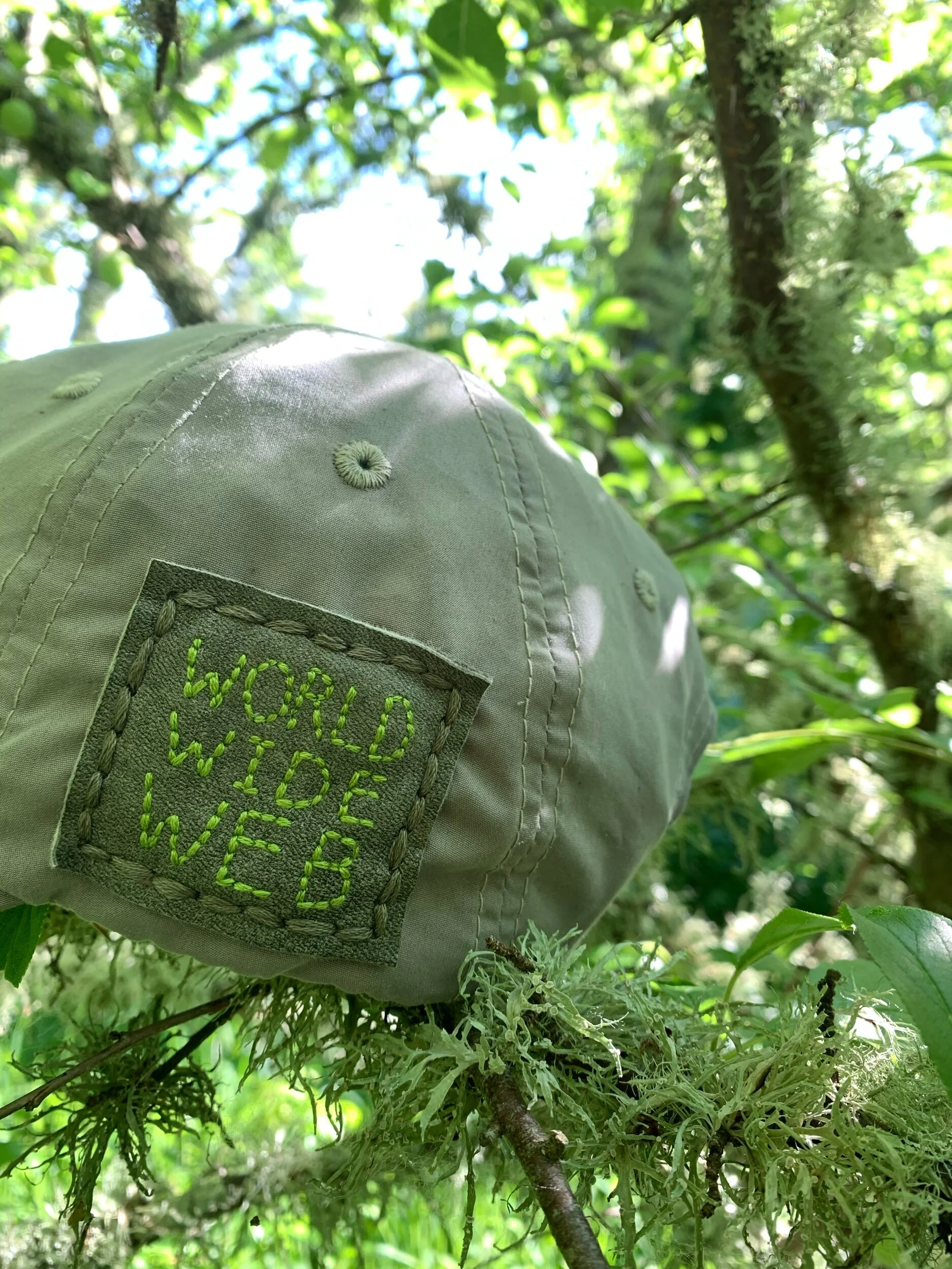 6A84A9AA-DDF3-4C3C-A2AD-3D08FC2FCA3F