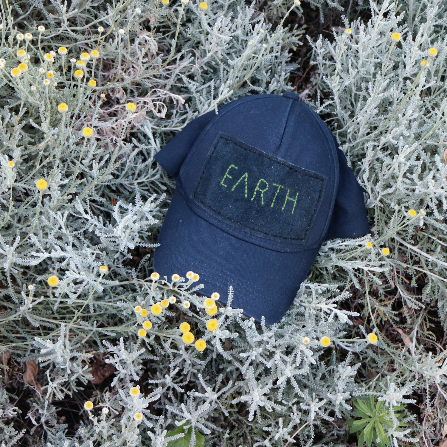 EARTH c1 2.png