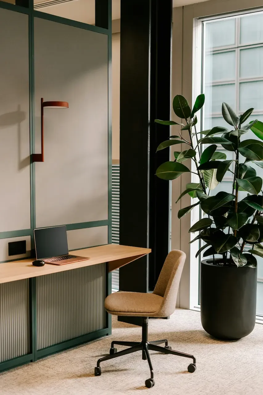 Poste de travail individuel dans un bureau, cloison vitrée verte, chaise capitonnée et plante d'intérieur