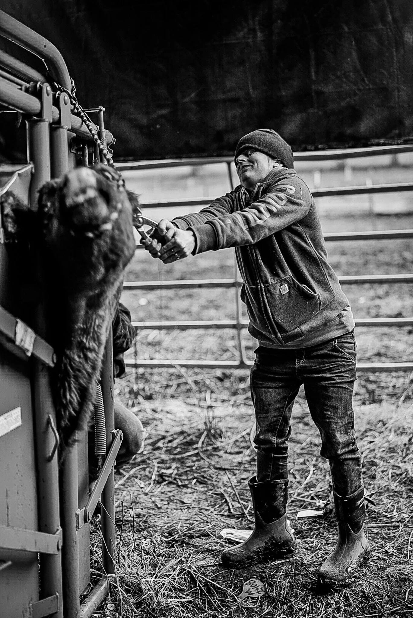 Another Kind of Labor.JPG