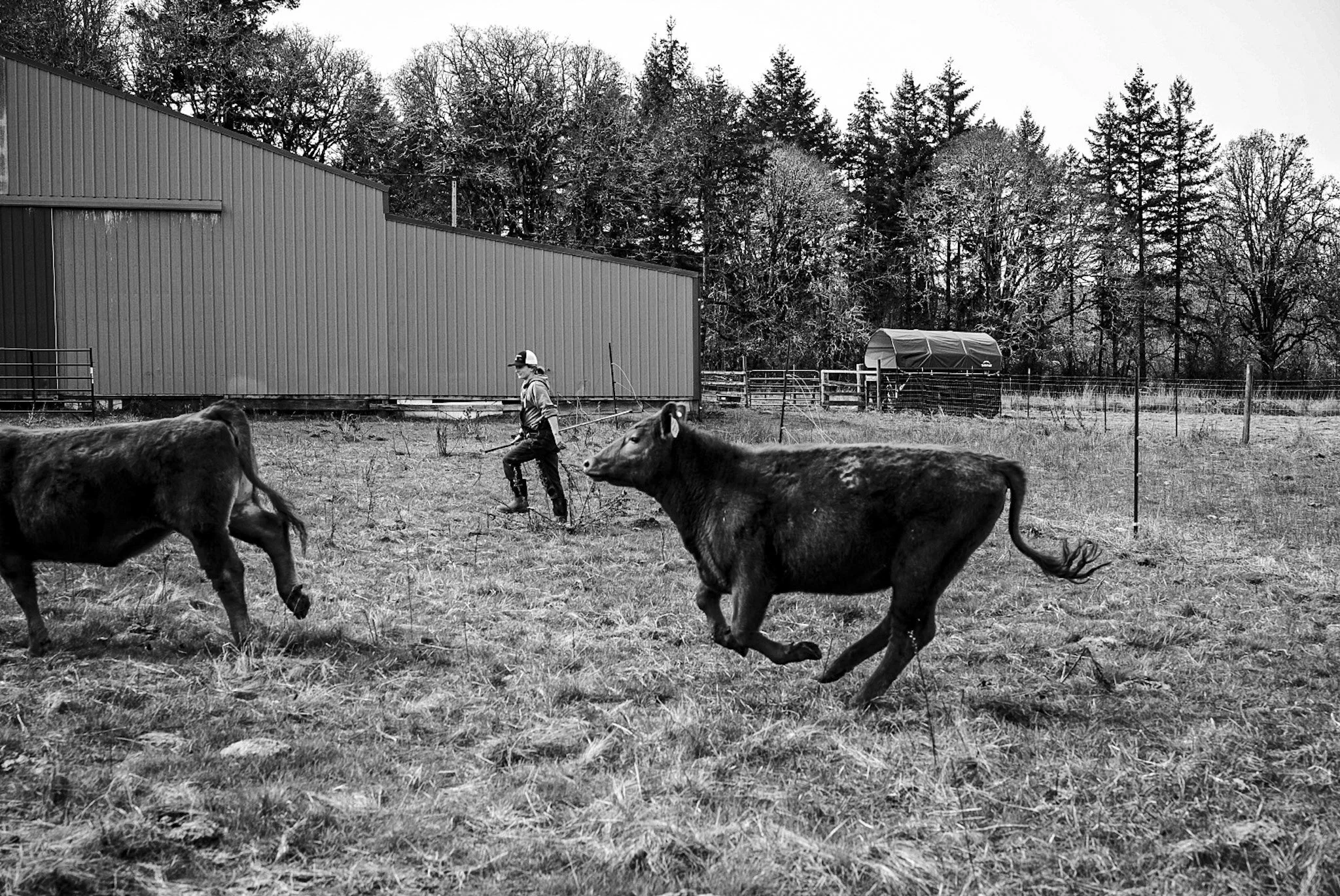 No Pauses for Pregnancy.JPG