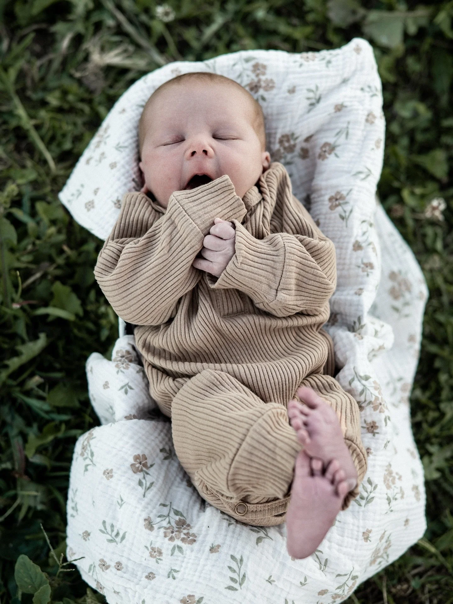 Beautiful baby Maisyn 💕🎀
.
When I went to capture these newborn photos, I arrived at the clients home and was immediately introduced to their family, farm, and animals. For me, this was so refreshing to see such a sweet family adding to such an alr