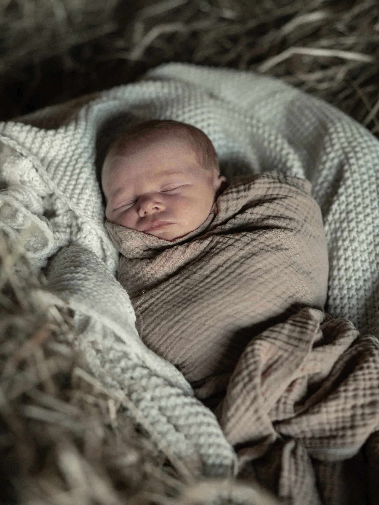 Golden hour on the farm 🐄🌾☀️
.
.
#syracuseny #syracusephotographer #newbornphotography #syracusephotography #weddingphotographer #nikon #newborn #newbornphotos #farm #family #familyportrait #homestead #photographer #upstateny #upstatephotography