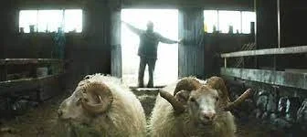 Kvik­mynda­gerð á Ís­landi: Næstu skref