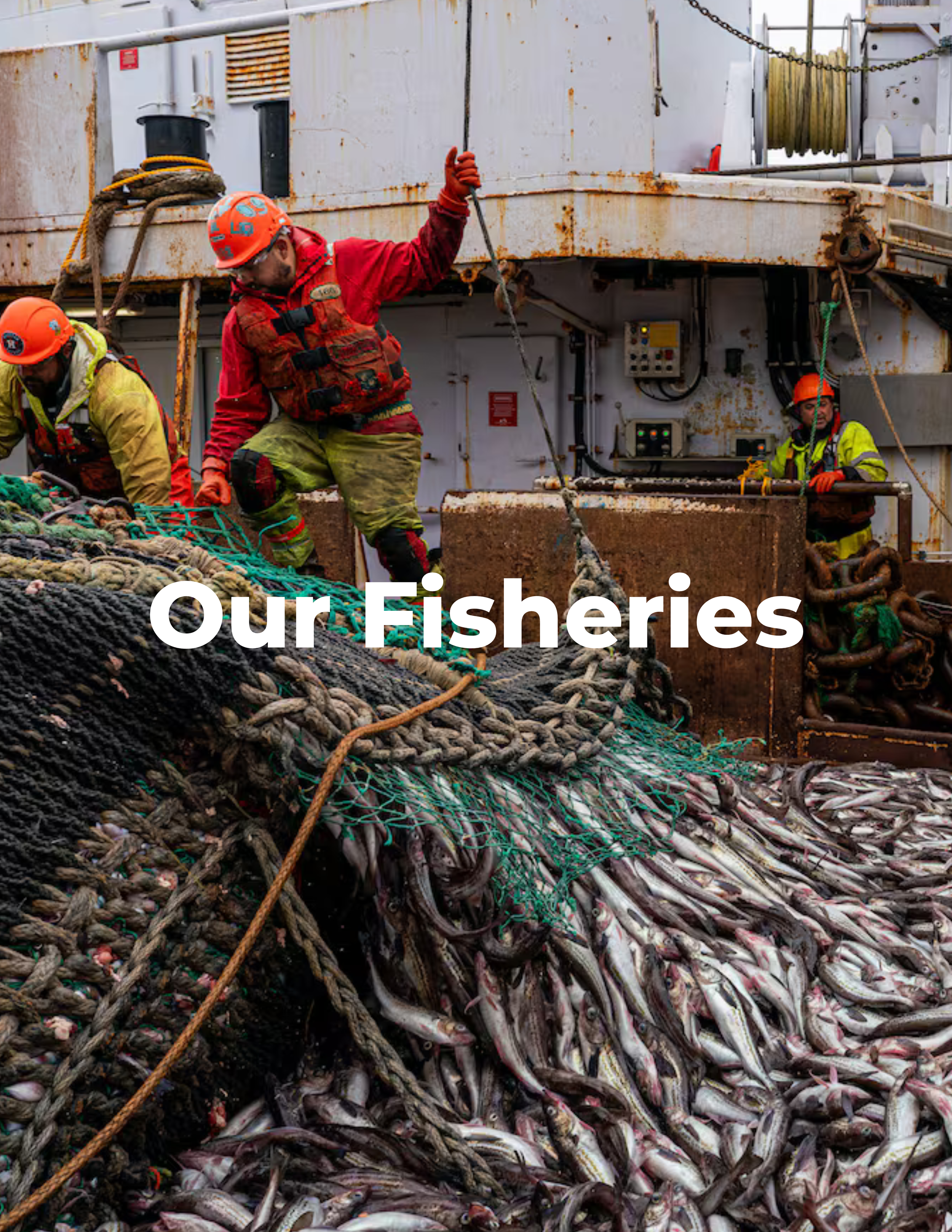 Our Fisheries