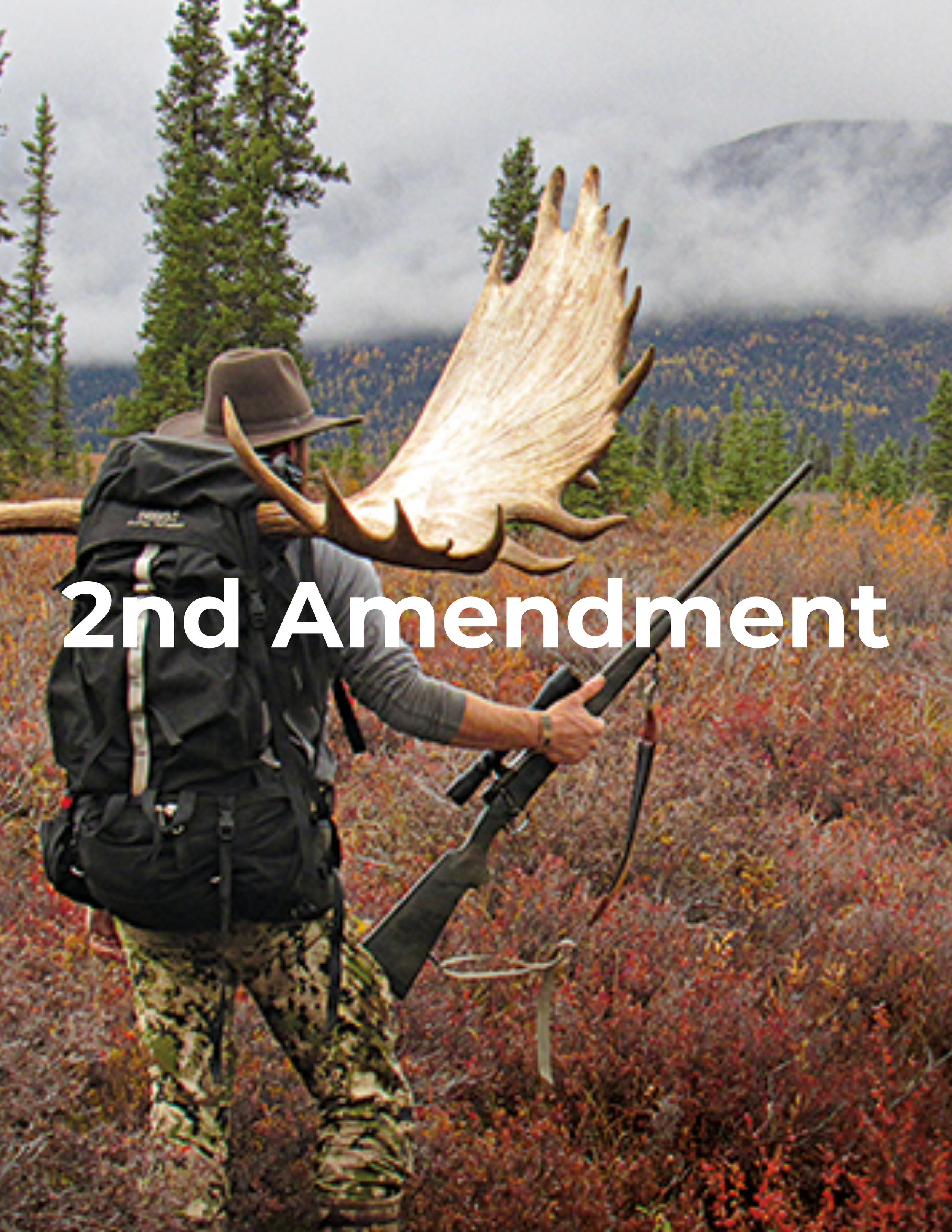 2nd Amendment