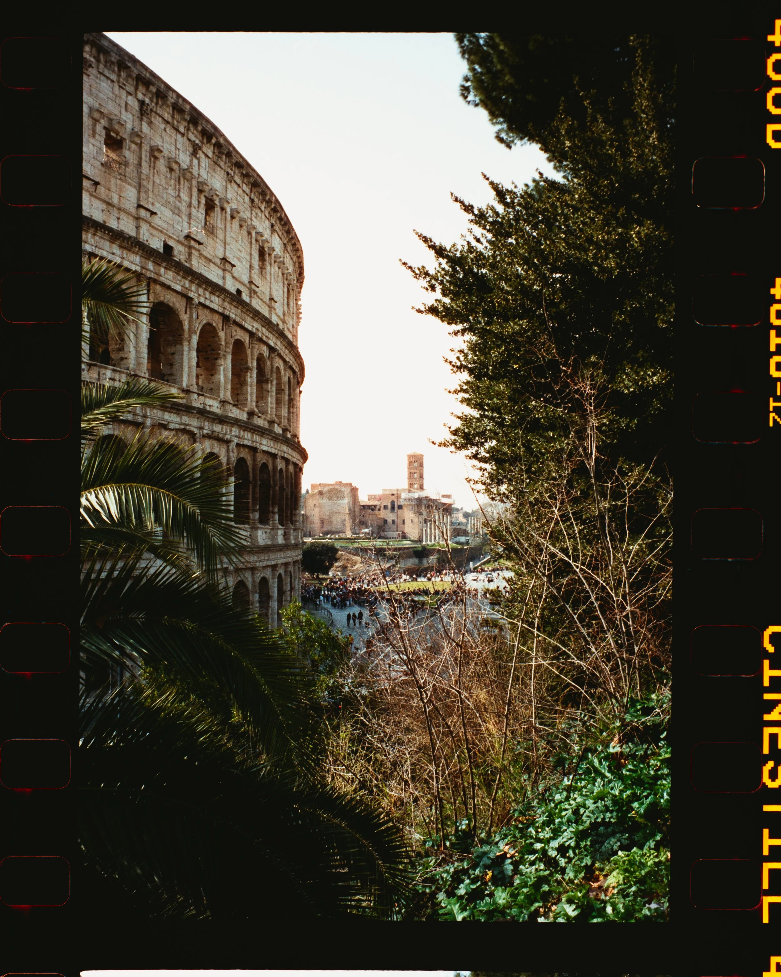 Untitled Catalog1123.jpg