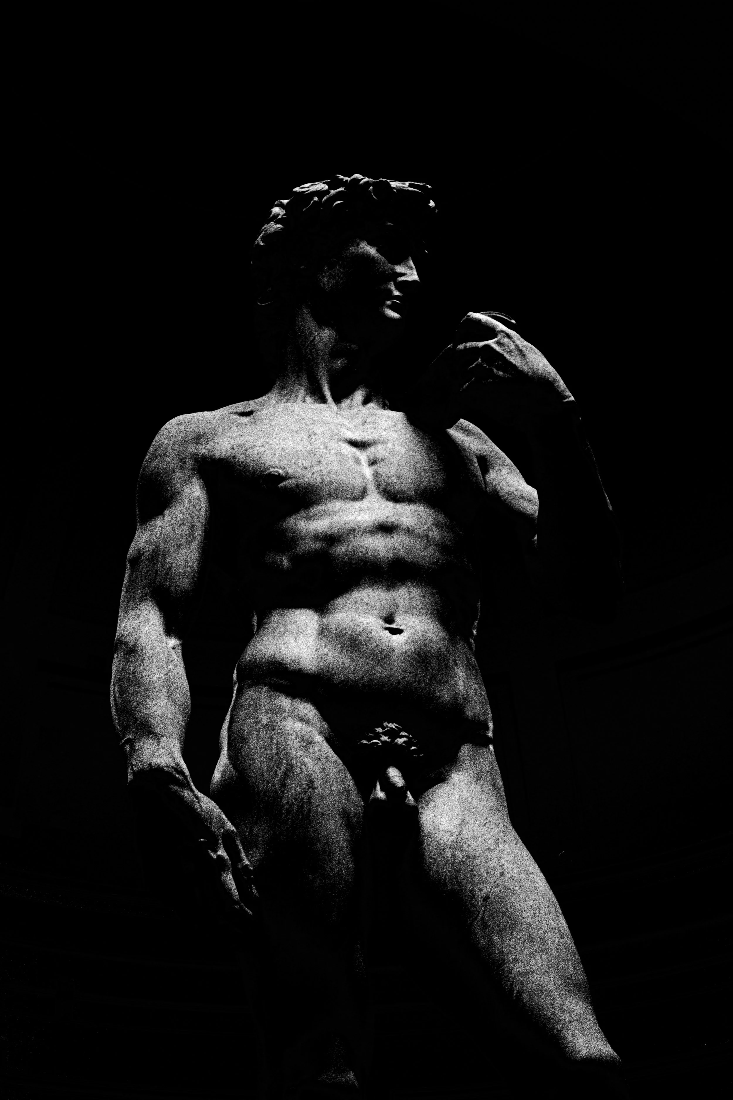 Untitled Catalog4386.jpg