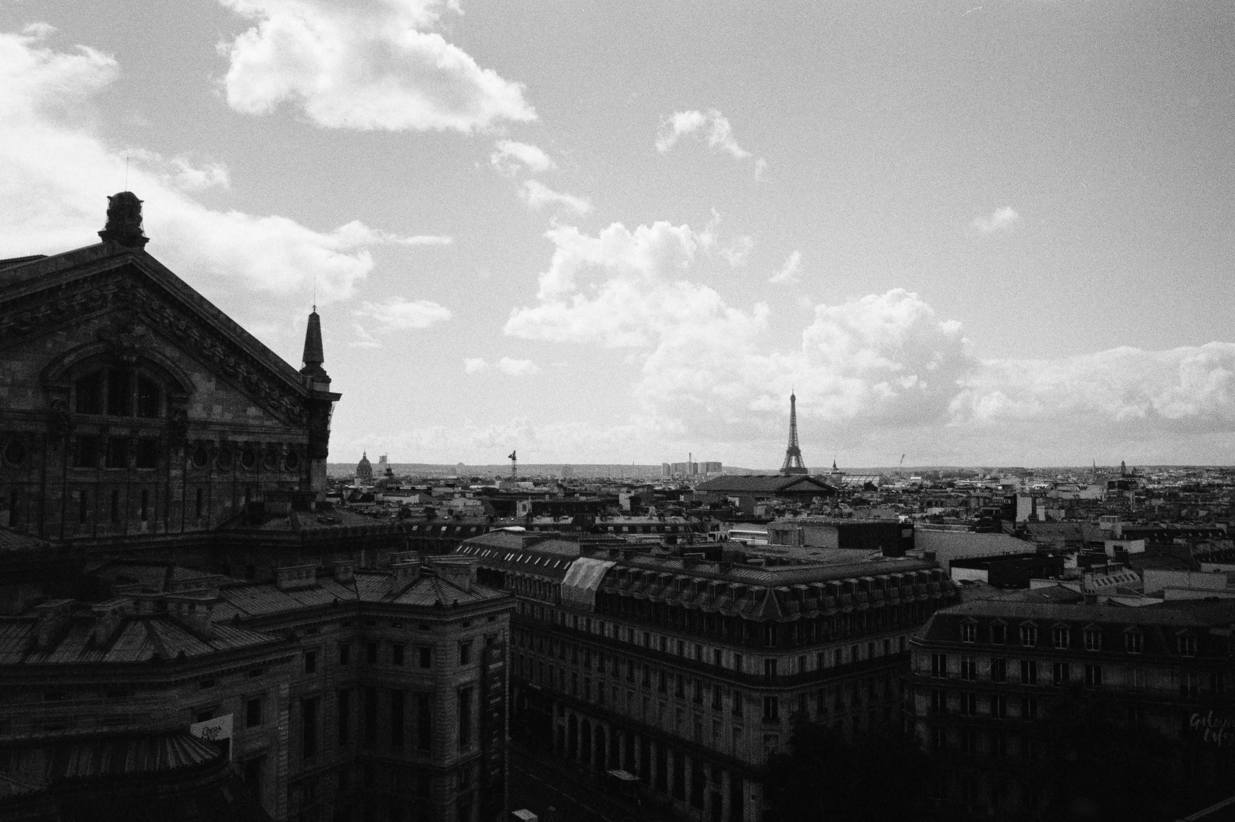 Untitled Catalog2273.jpg