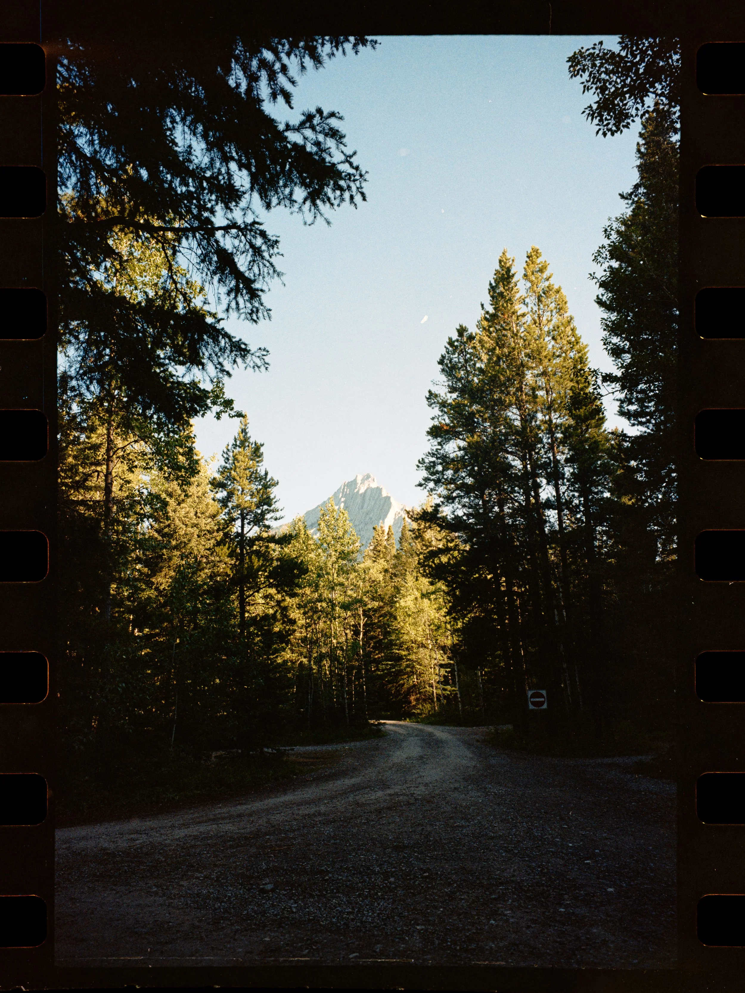 Untitled Catalog0009_PSMS.ARQ.jpg