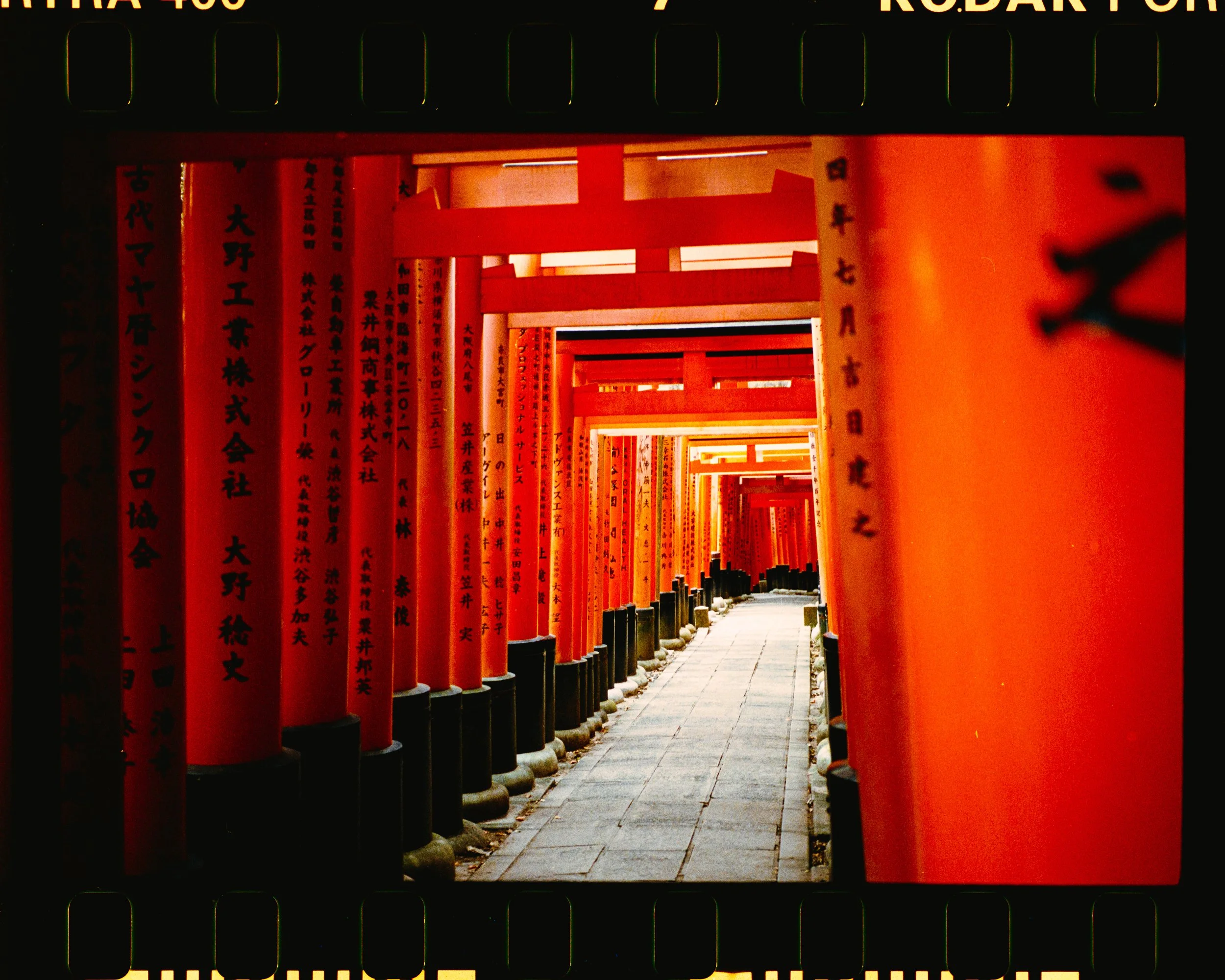 Untitled Catalog3162.jpg