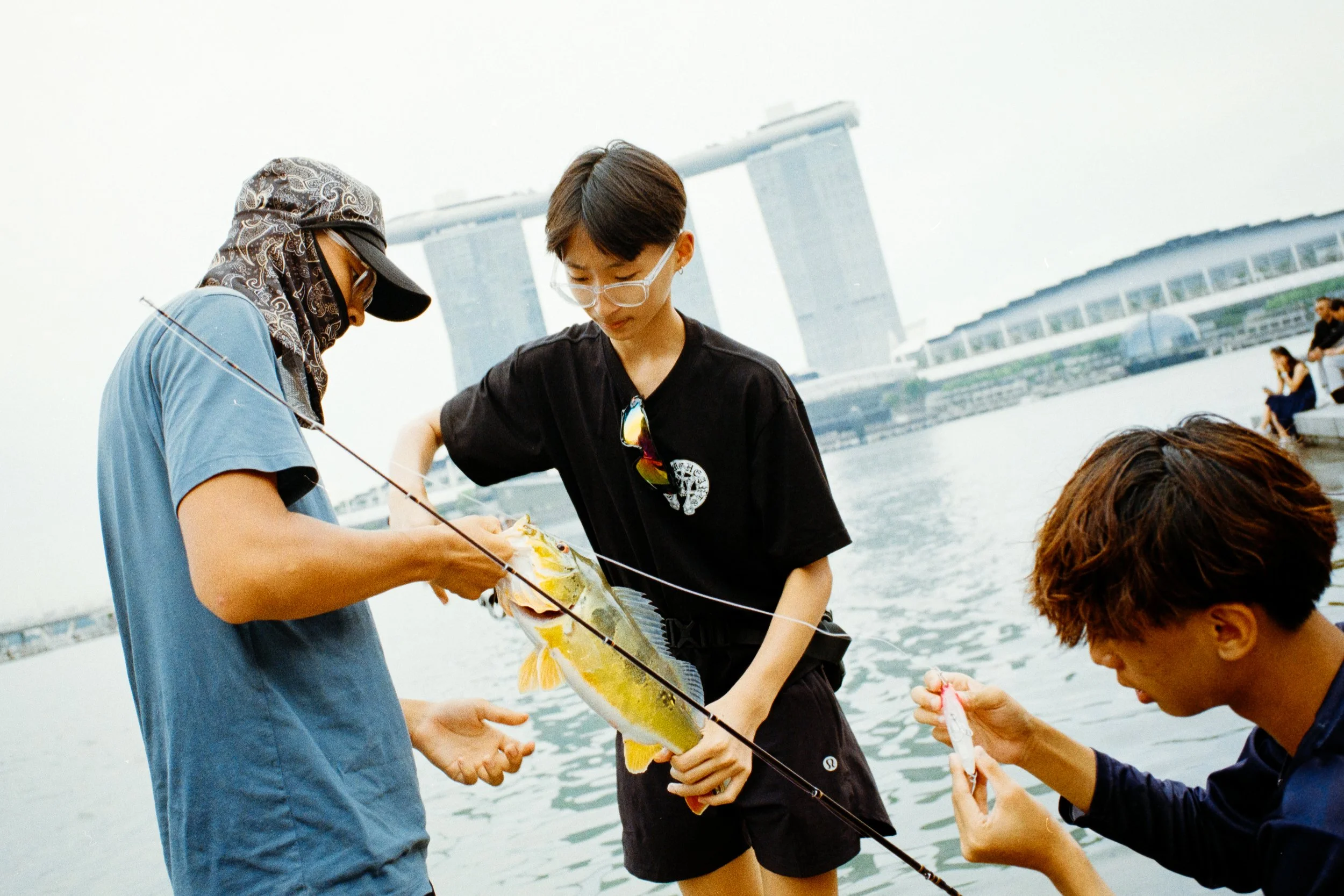 Untitled Catalog8075.jpg