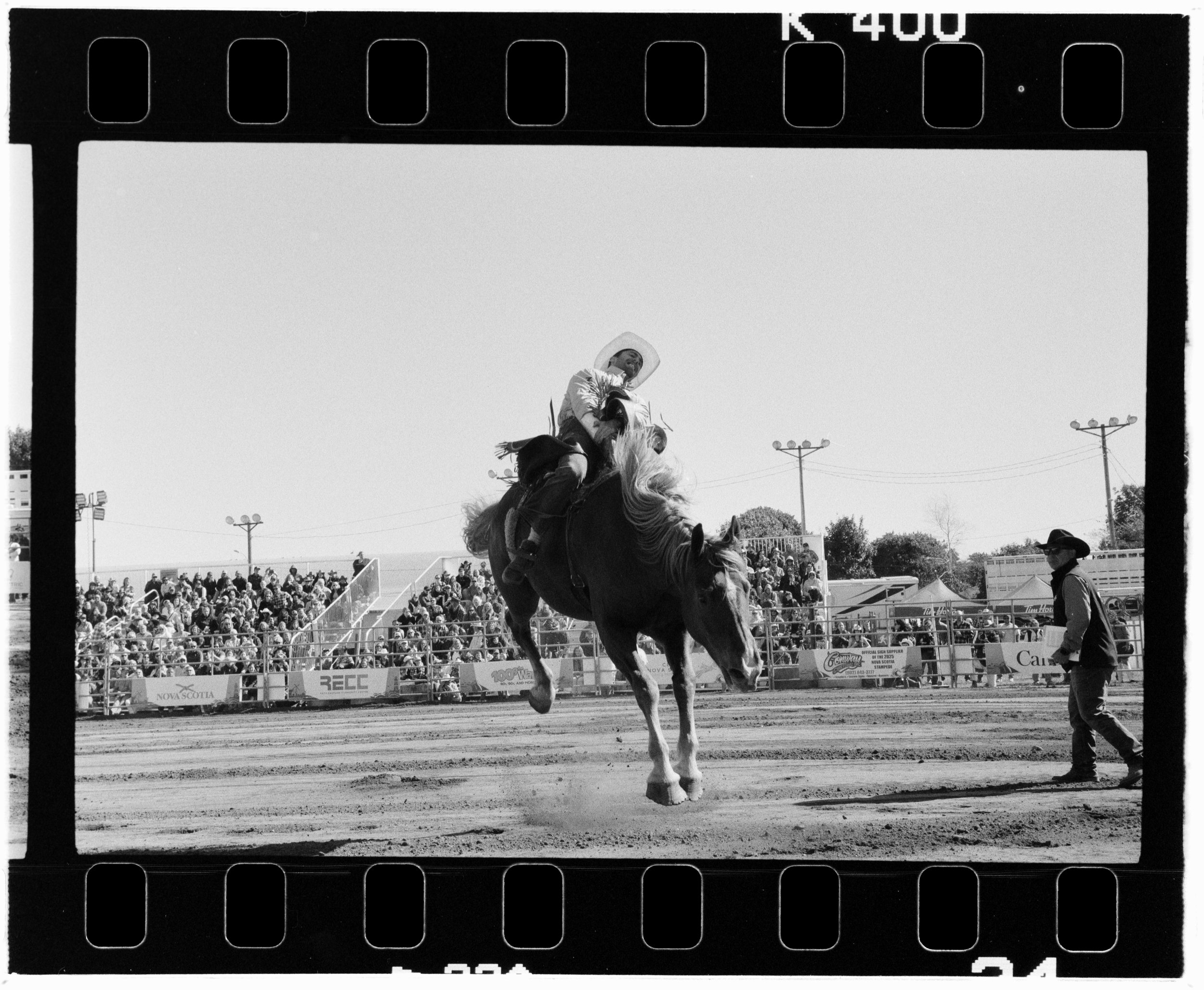 Untitled Catalog2106.jpg