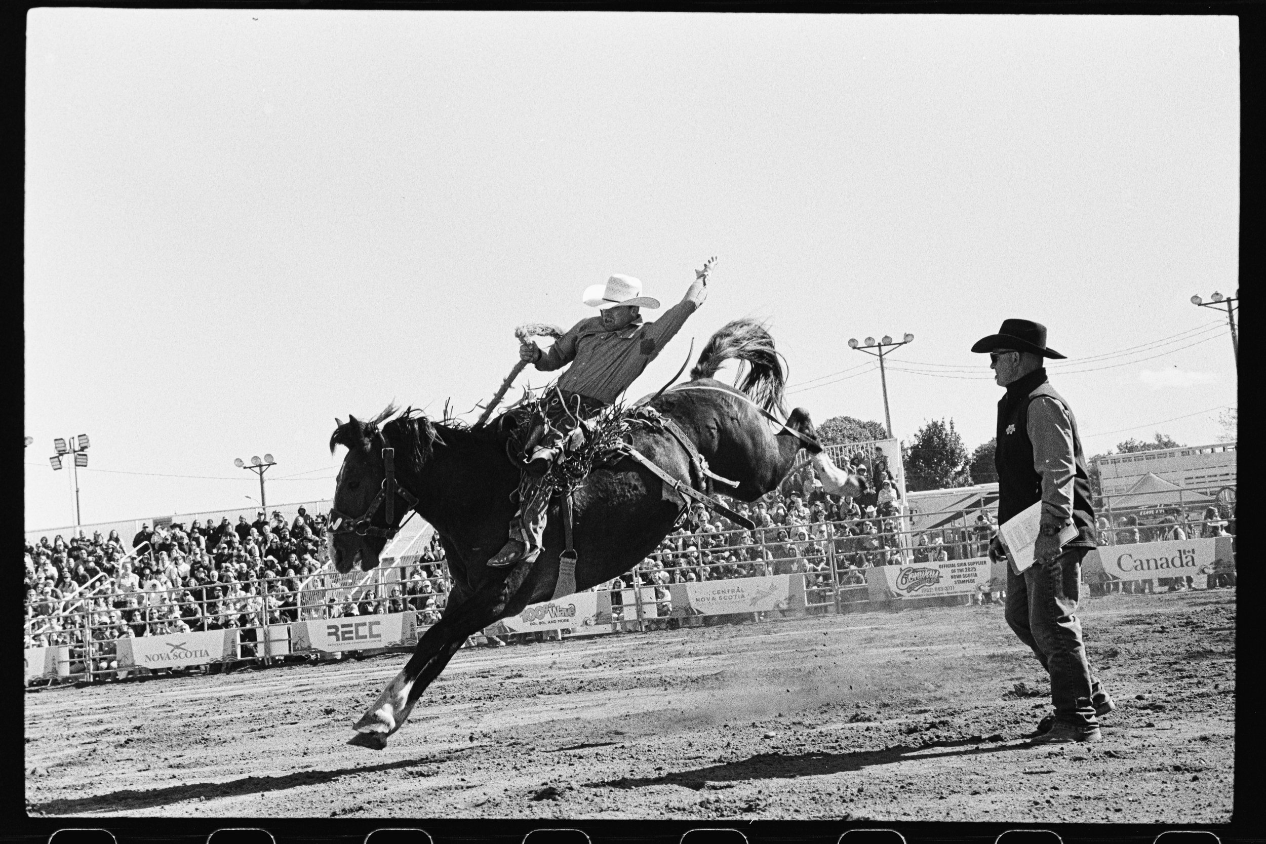 Untitled Catalog2115.jpg