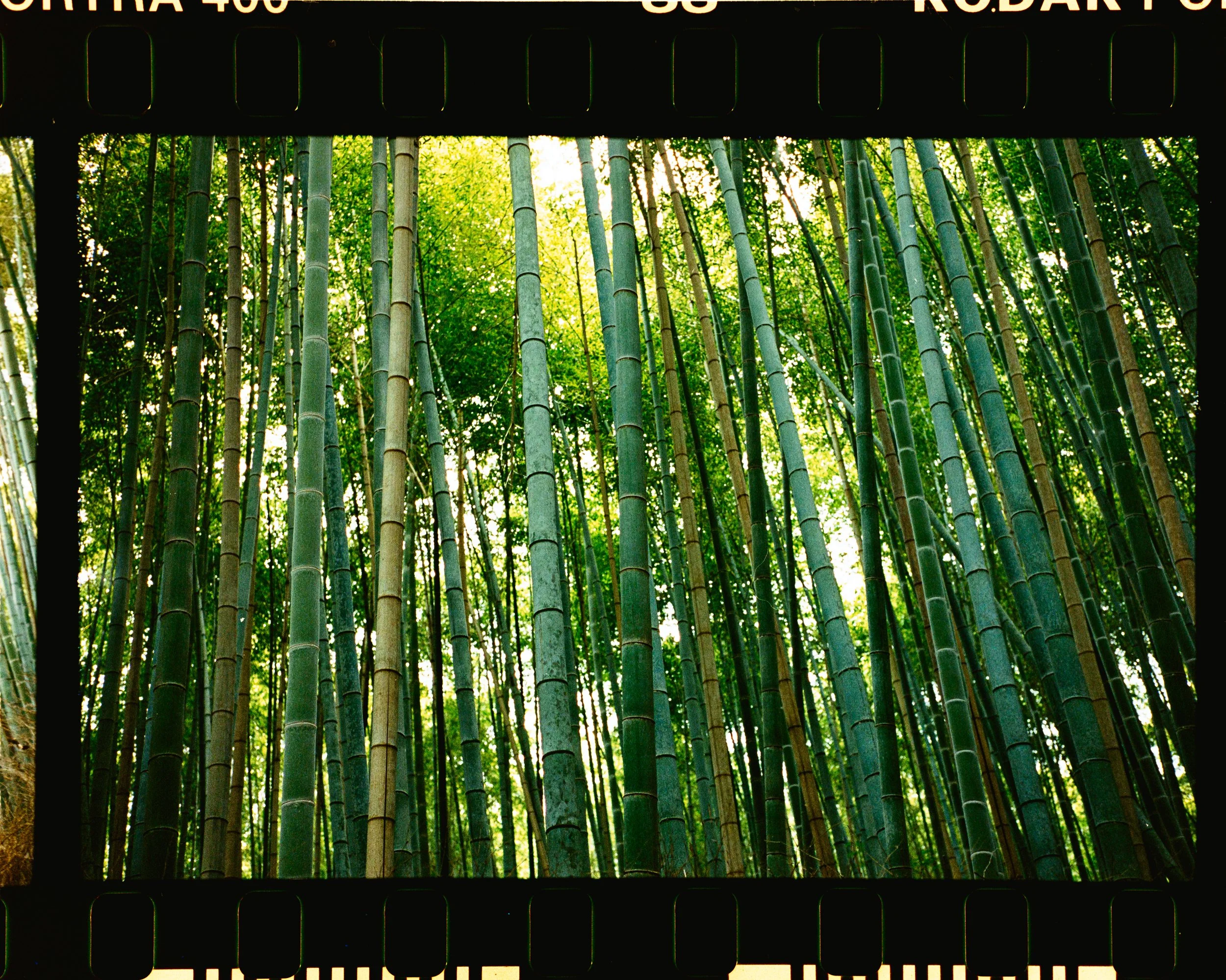 Untitled Catalog3187.jpg