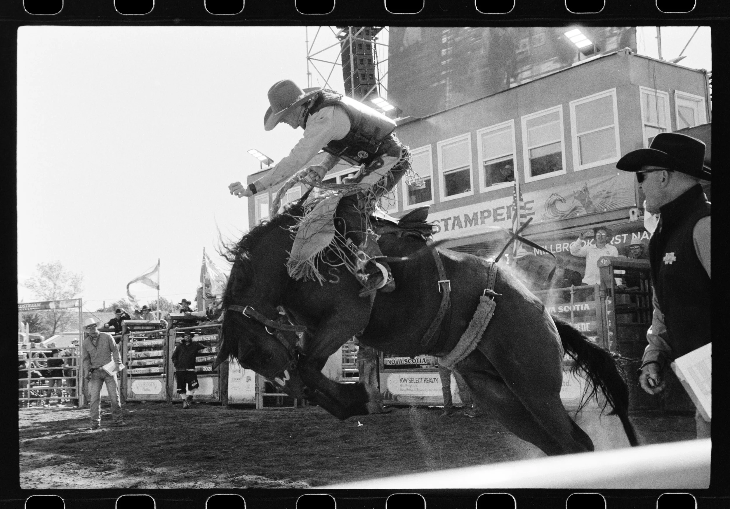 Untitled Catalog2117.jpg