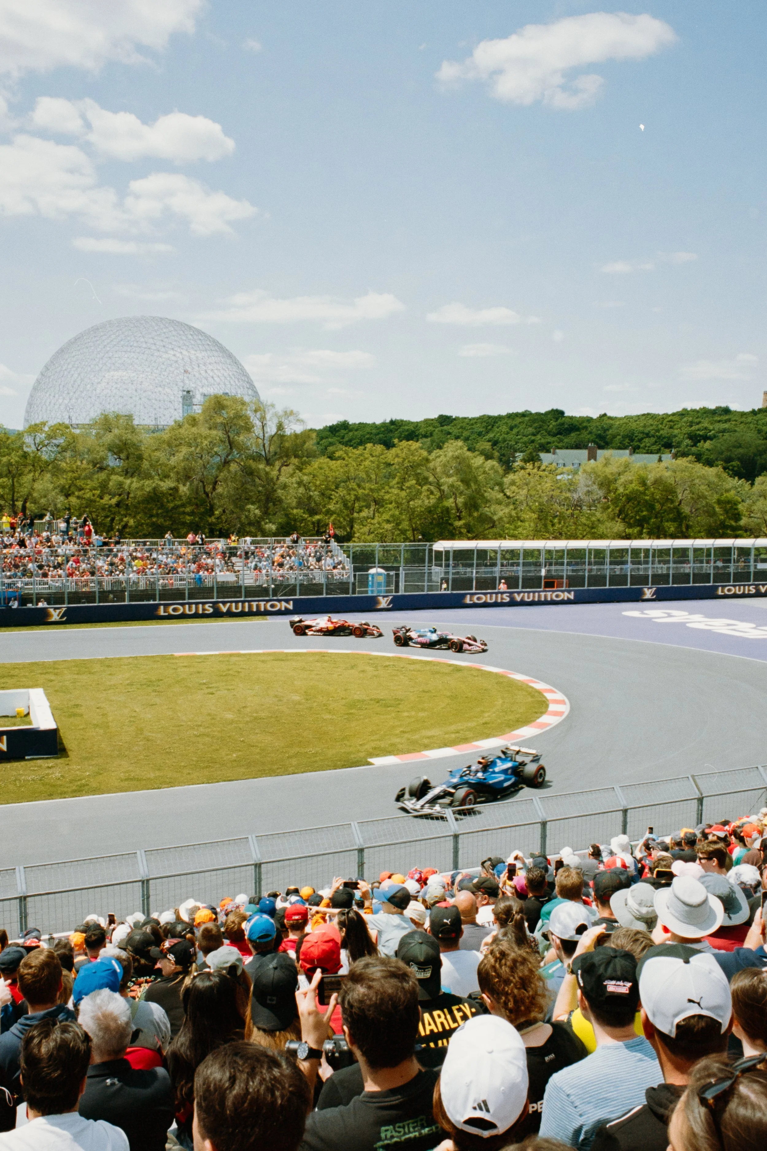 Untitled Catalog4277.jpg